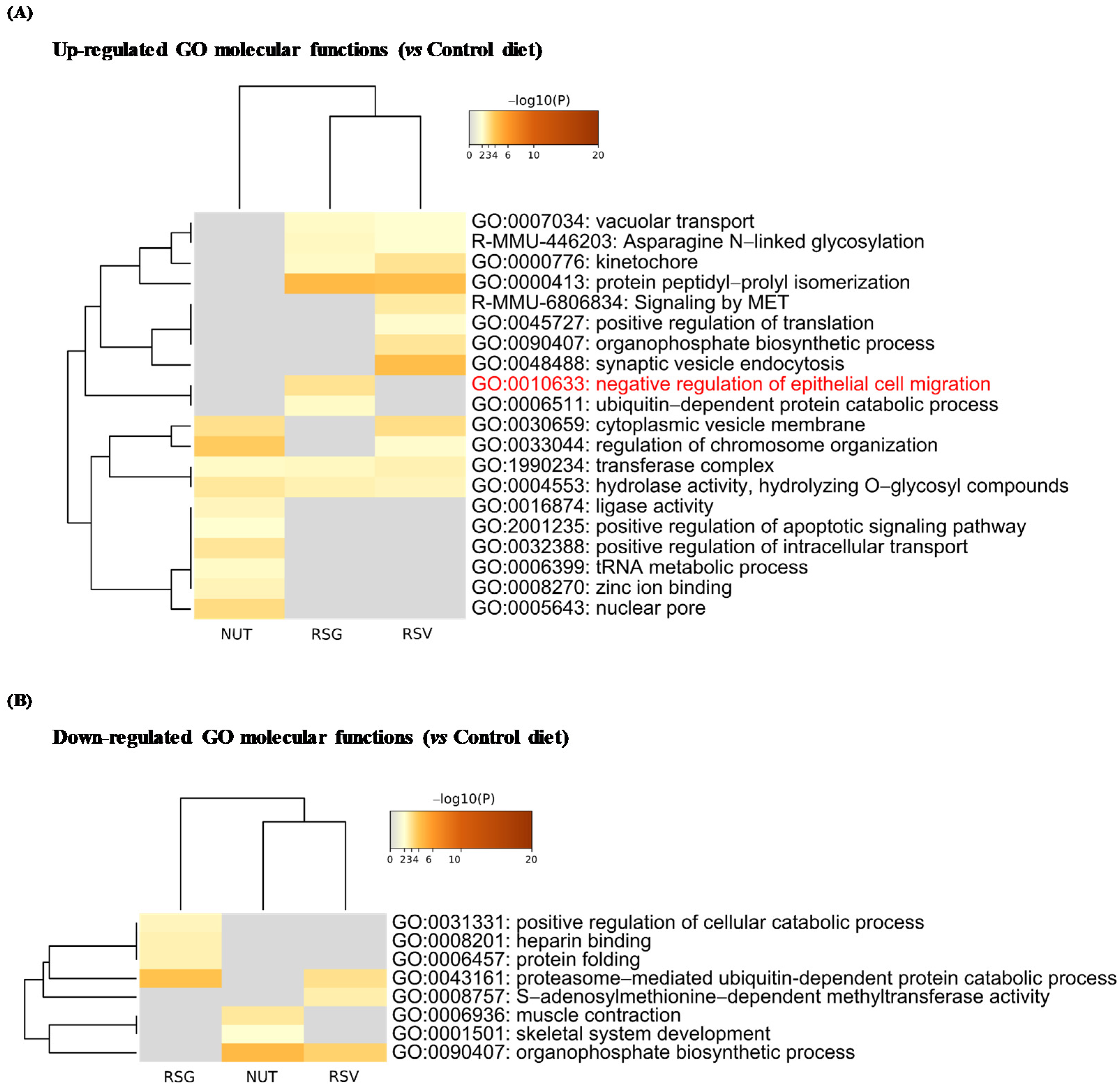 Ijms 22 11023 g005 Ijms 22 11023 g005