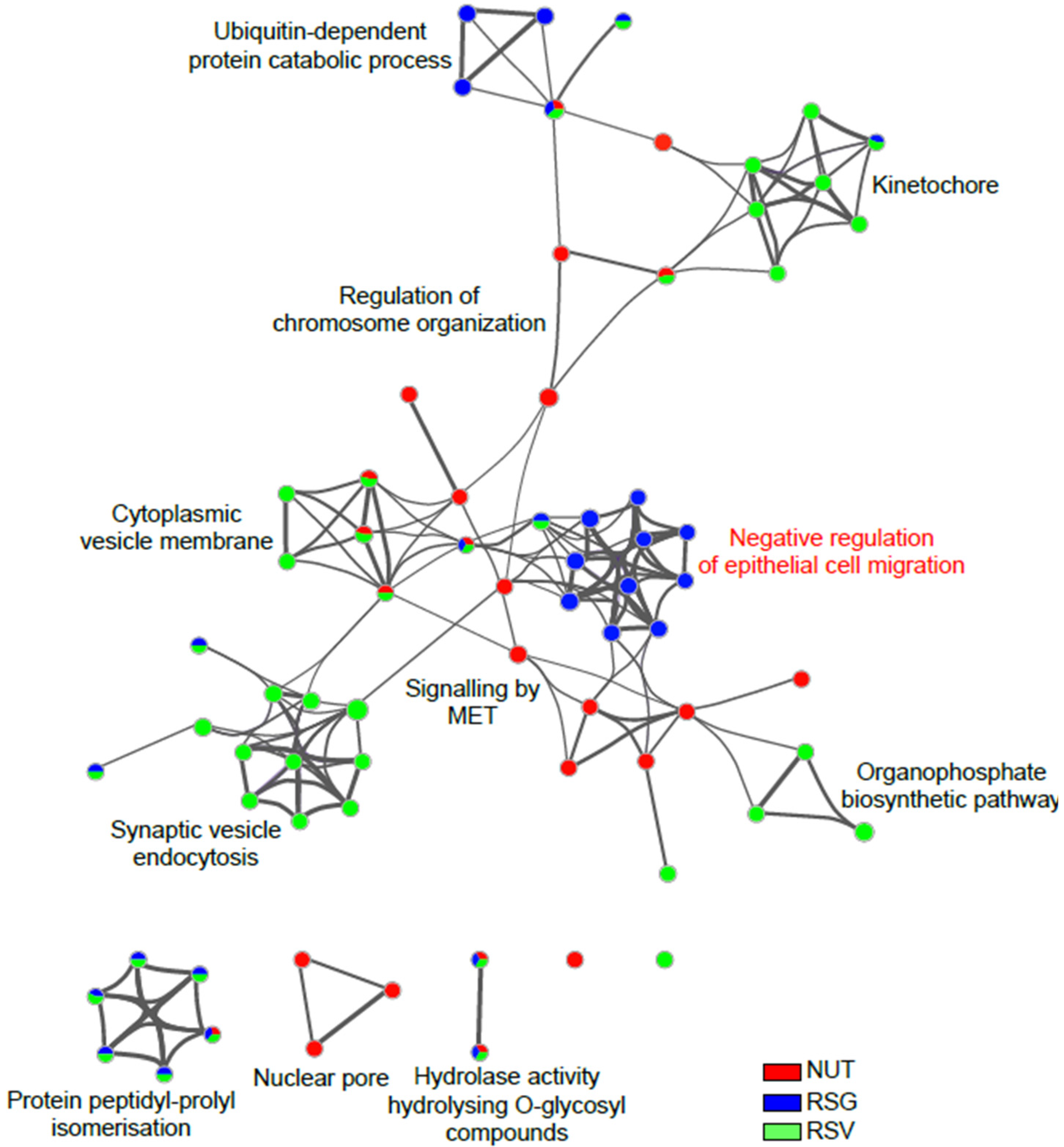 Ijms 22 11023 g006 Ijms 22 11023 g006