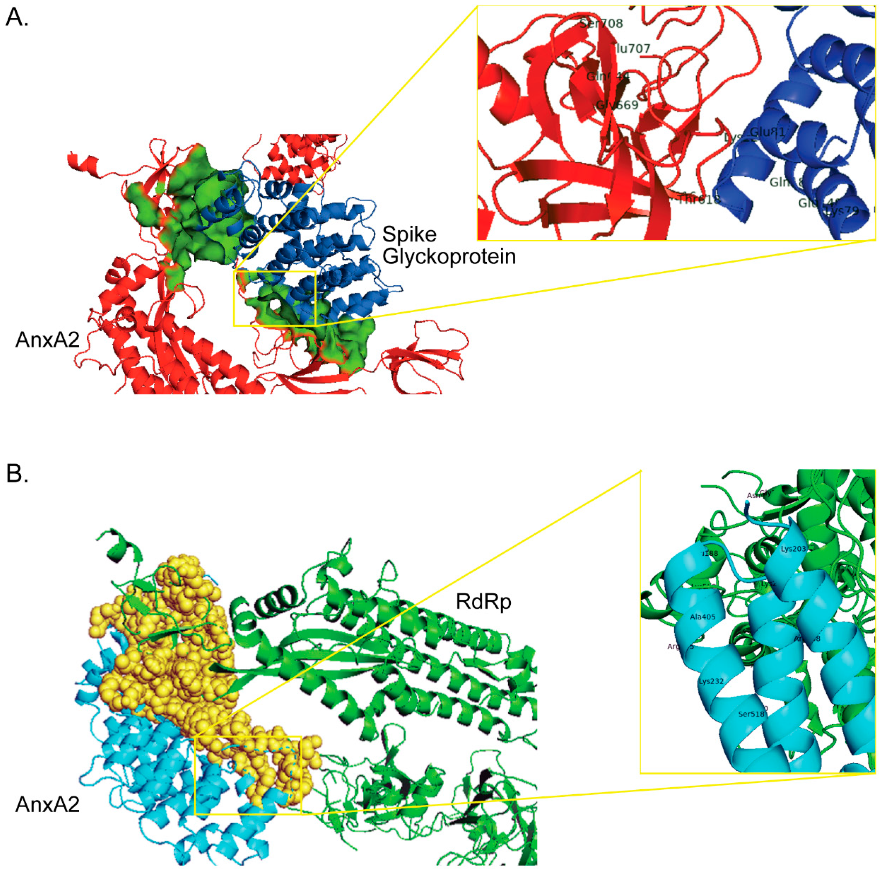 Ijms 22 11028 g002 550
