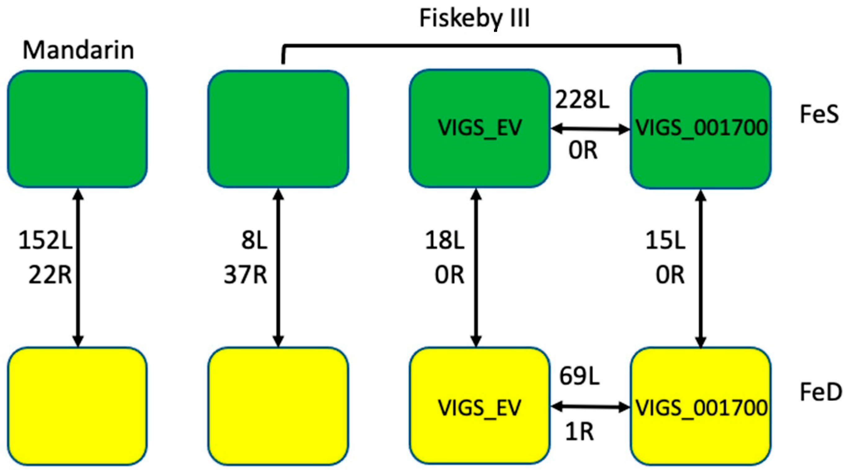 Ijms 22 11032 g004 550