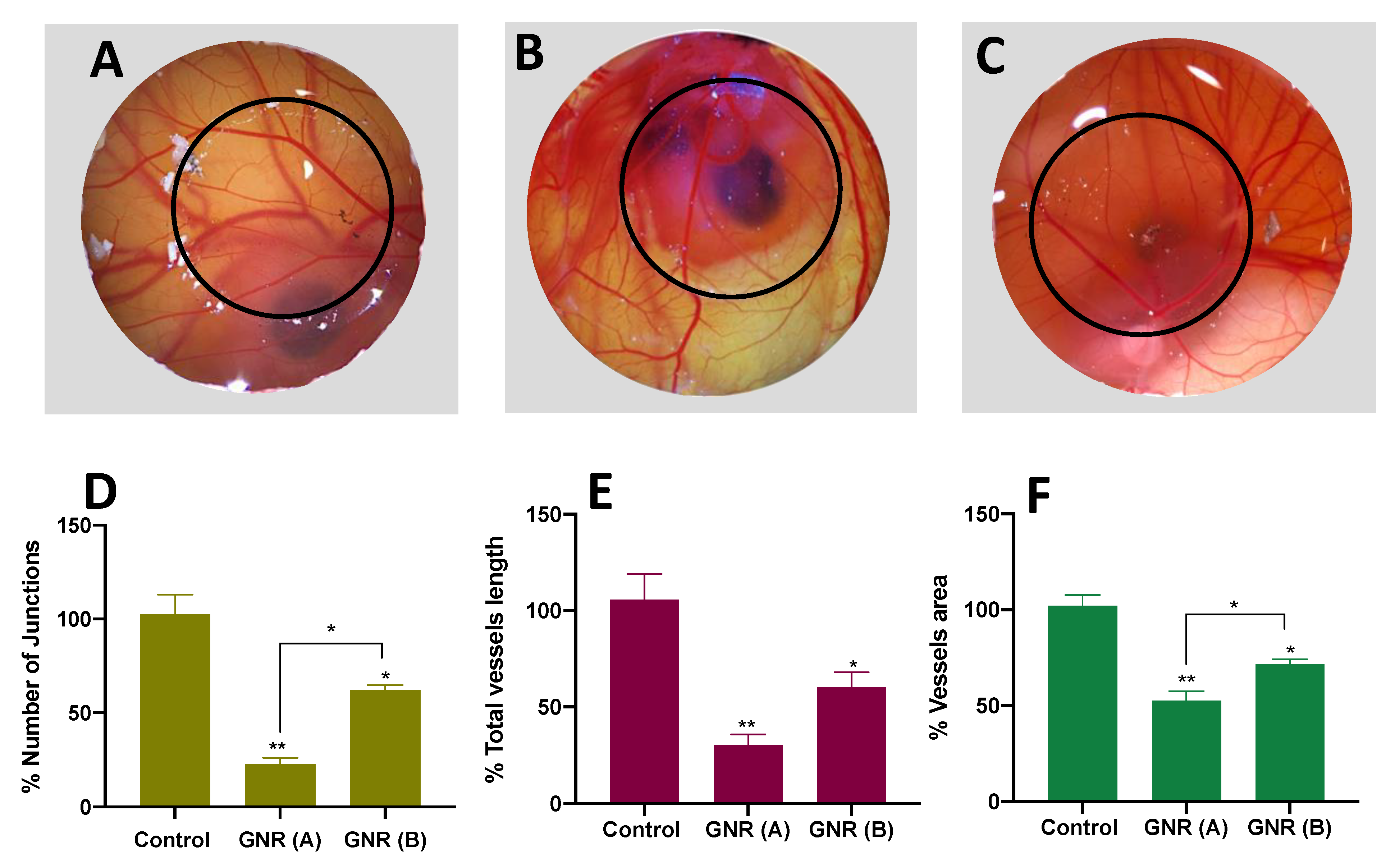 Ijms 22 11036 g003 550