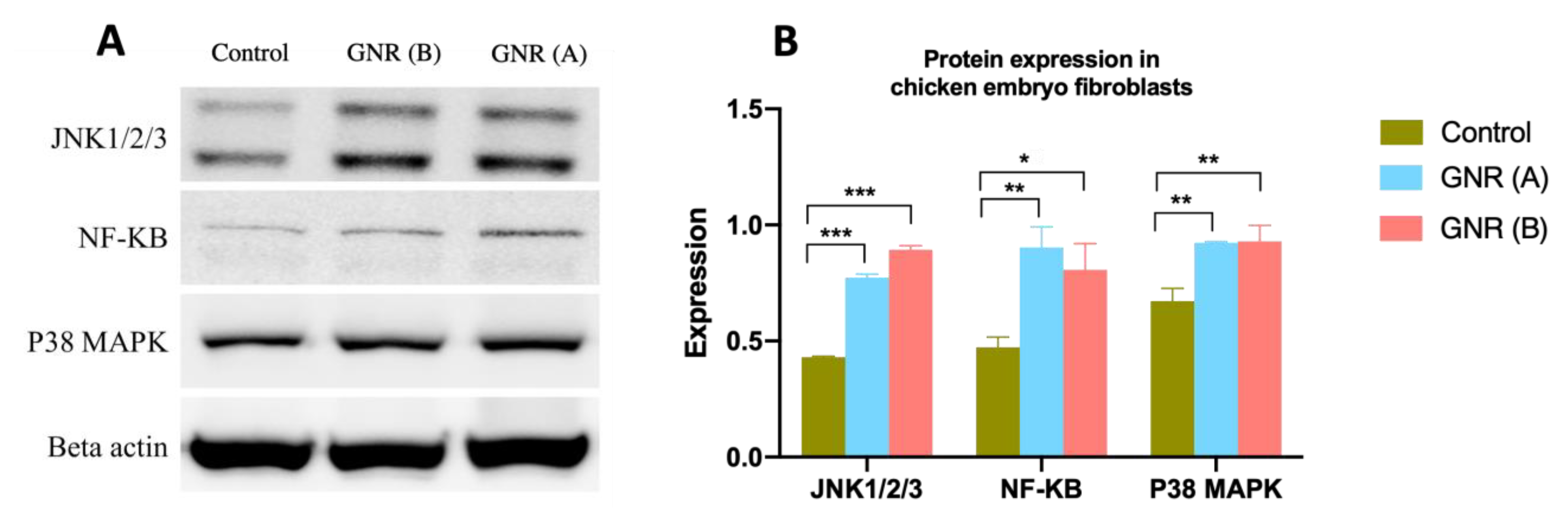 Ijms 22 11036 g006 550