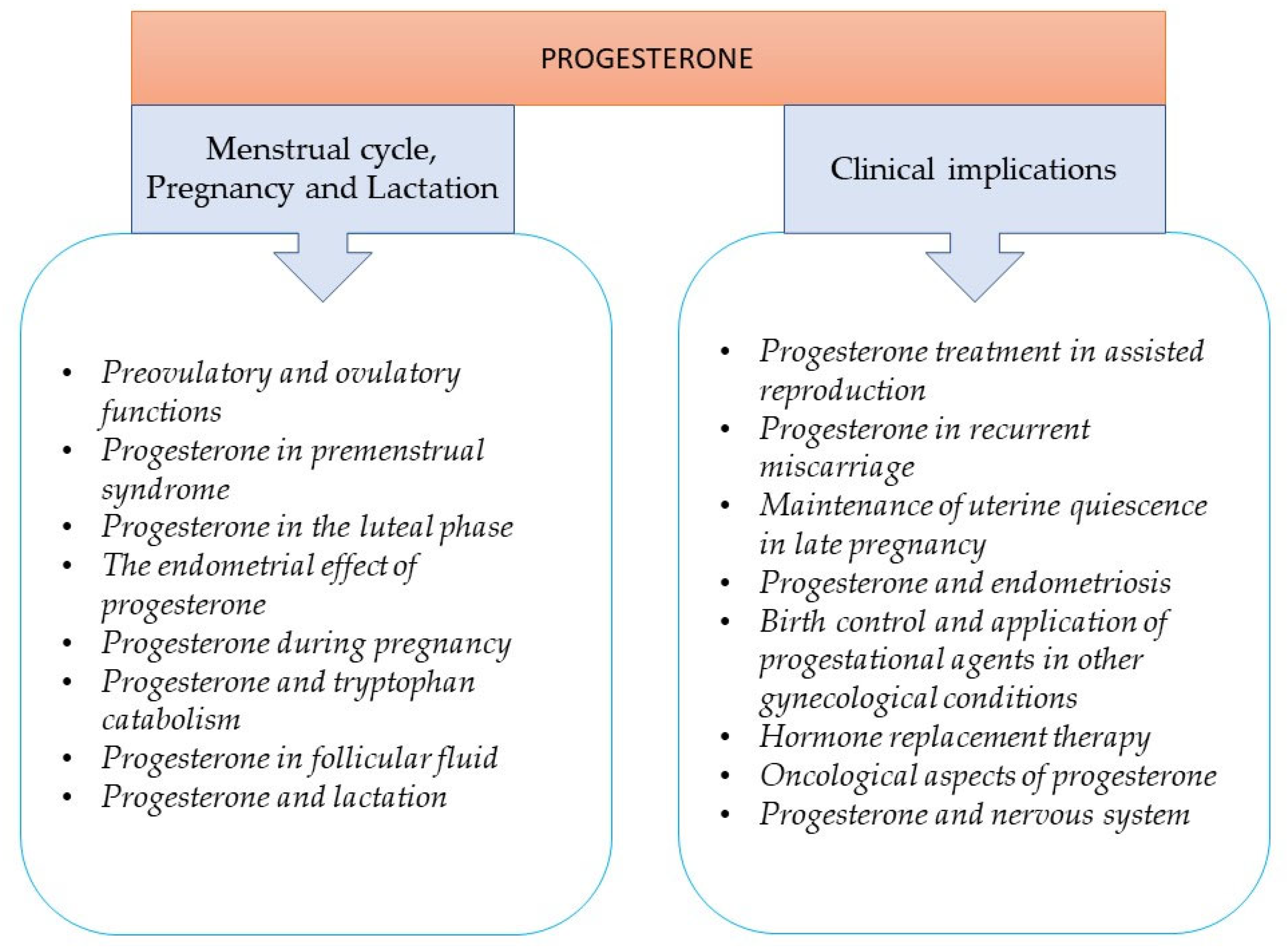 Estrogen Progesterone Cycle