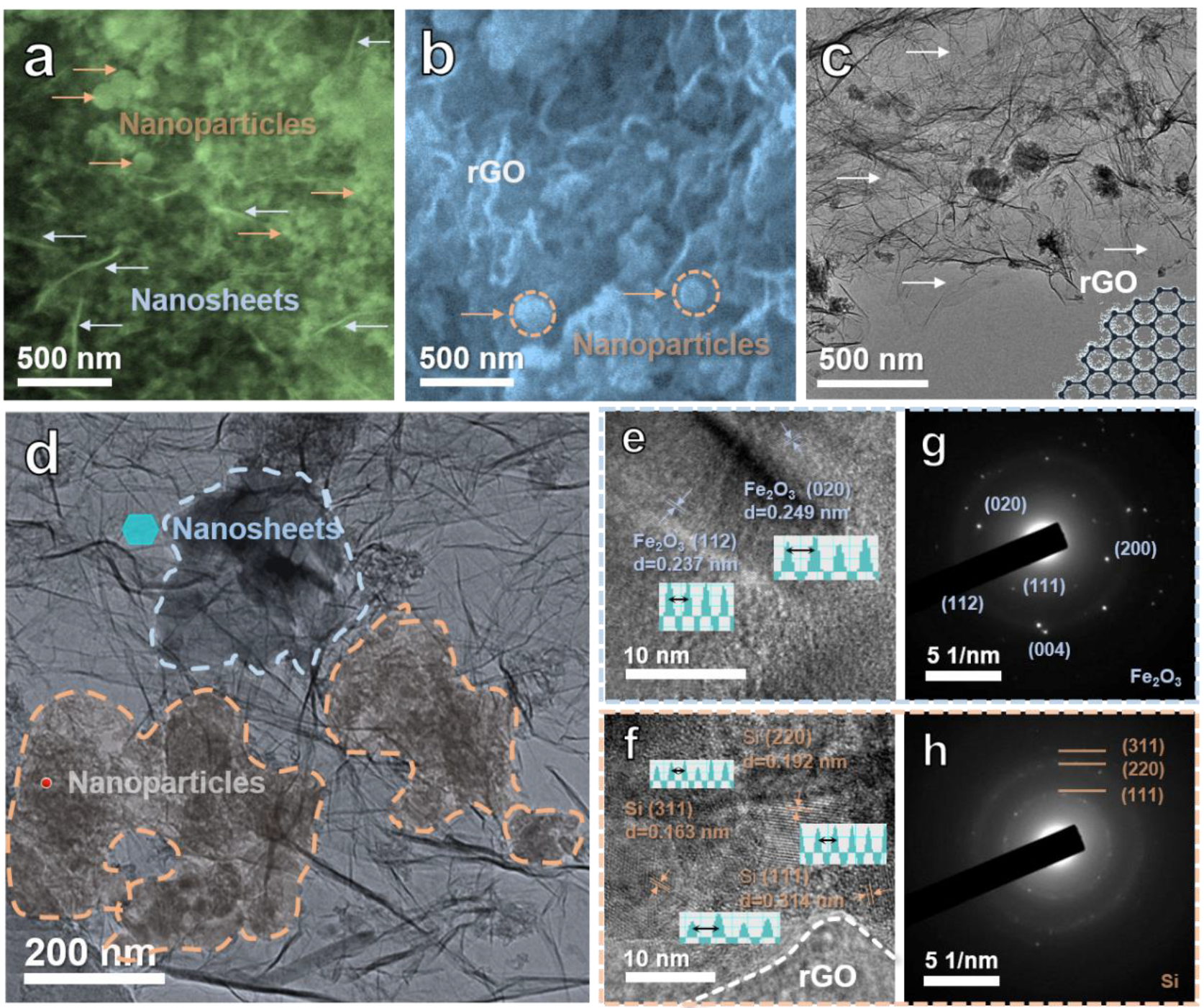 Ijms 22 11041 g002 550