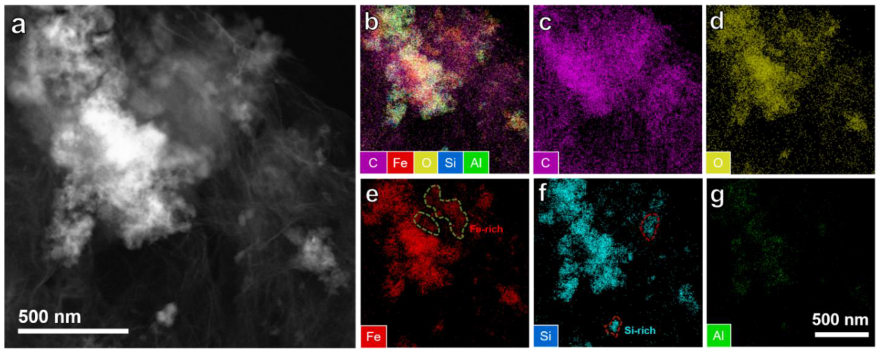 Ijms 22 11041 g003 550