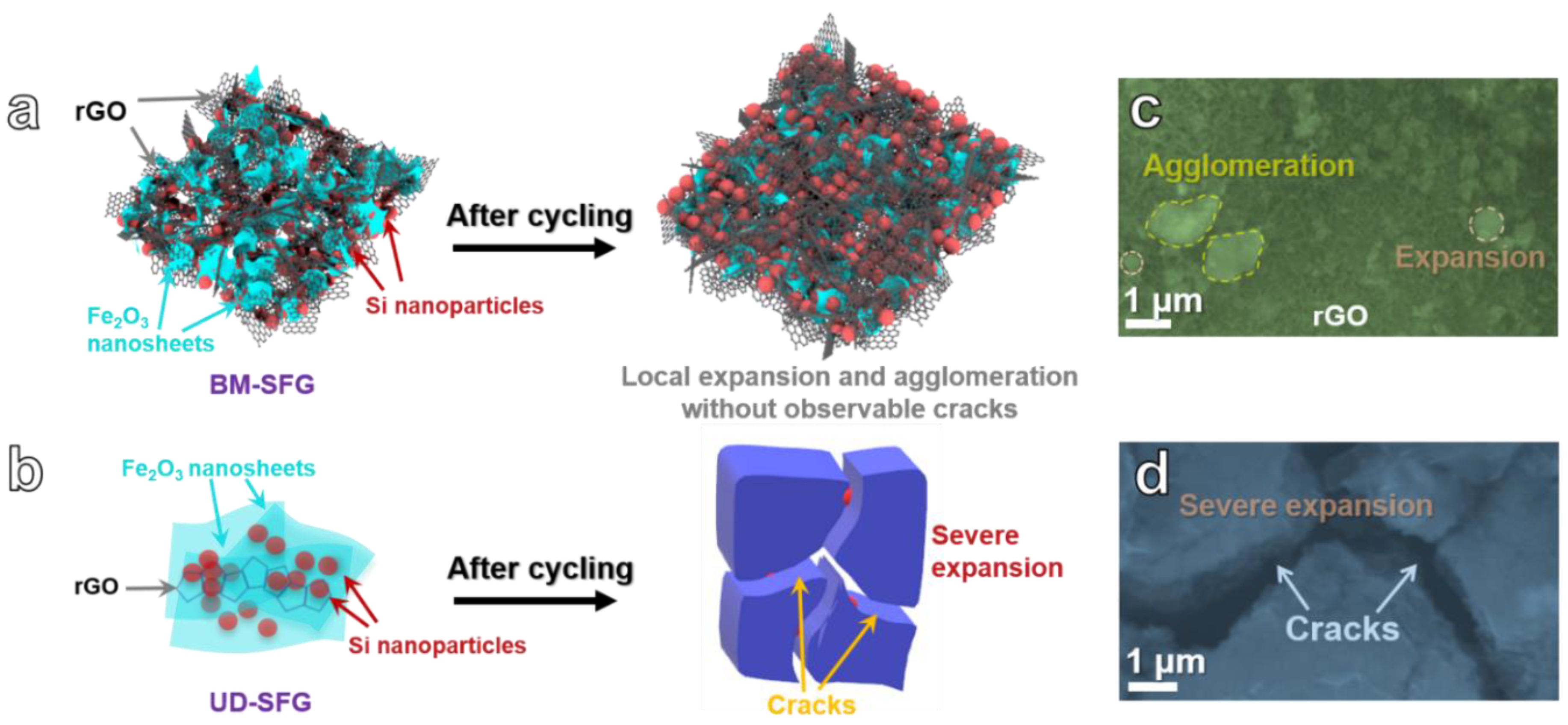 Ijms 22 11041 g005 550