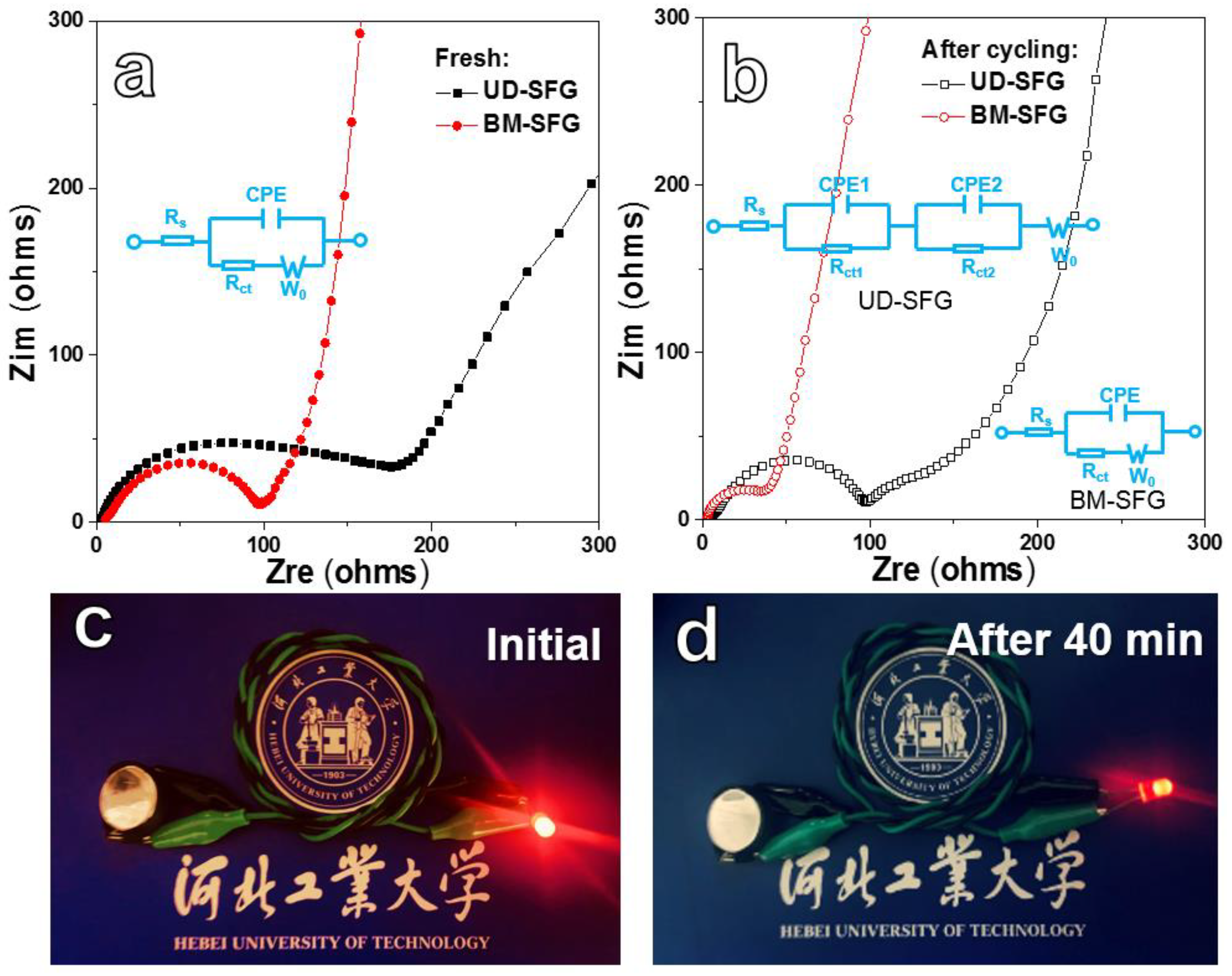 Ijms 22 11041 g007 550