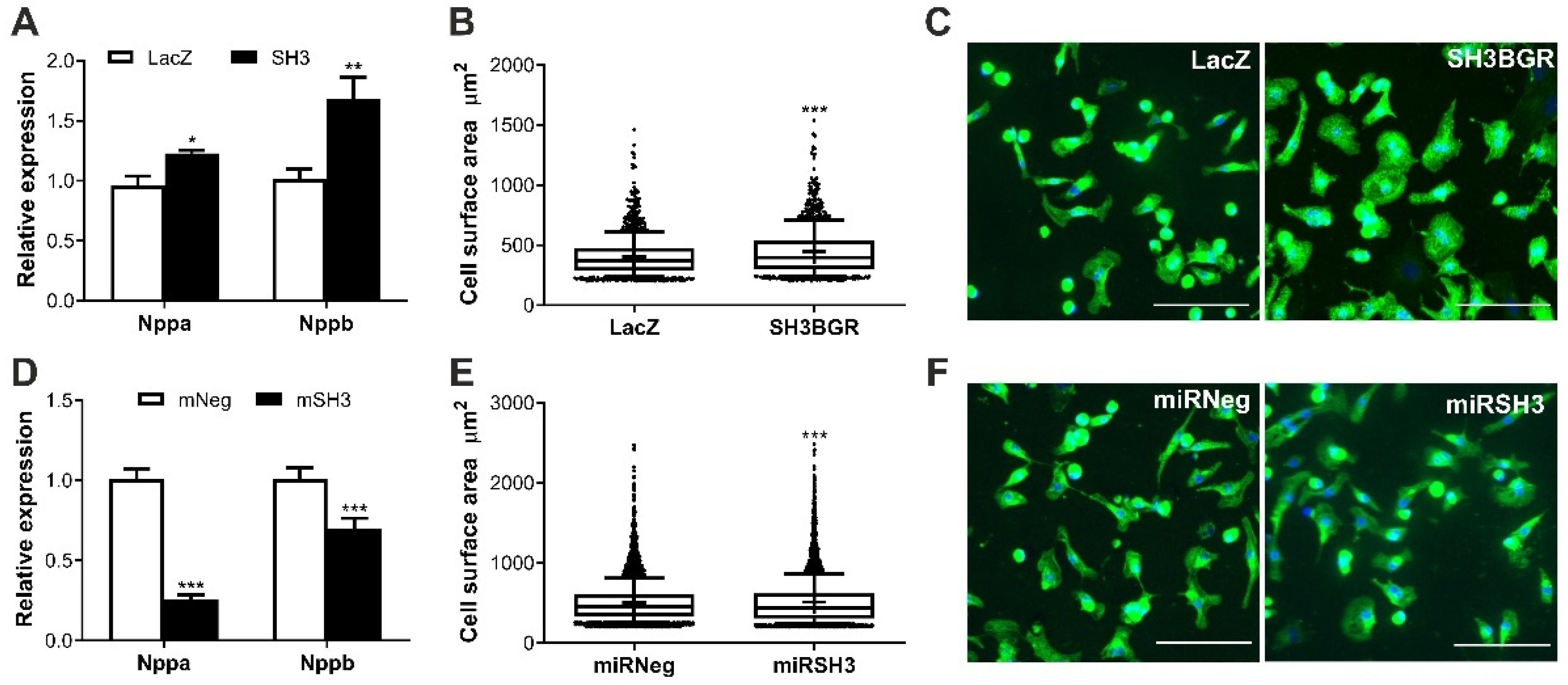 Ijms 22 11042 g002 Ijms 22 11042 g002