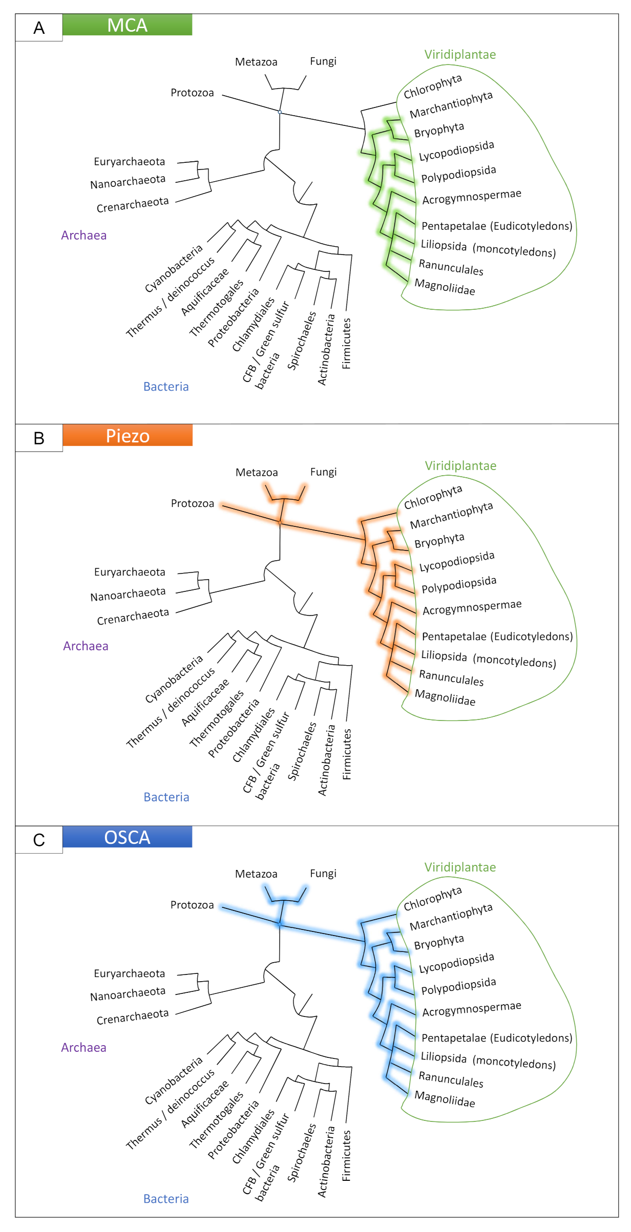 Ijms 22 11043 g002 Ijms 22 11043 g002