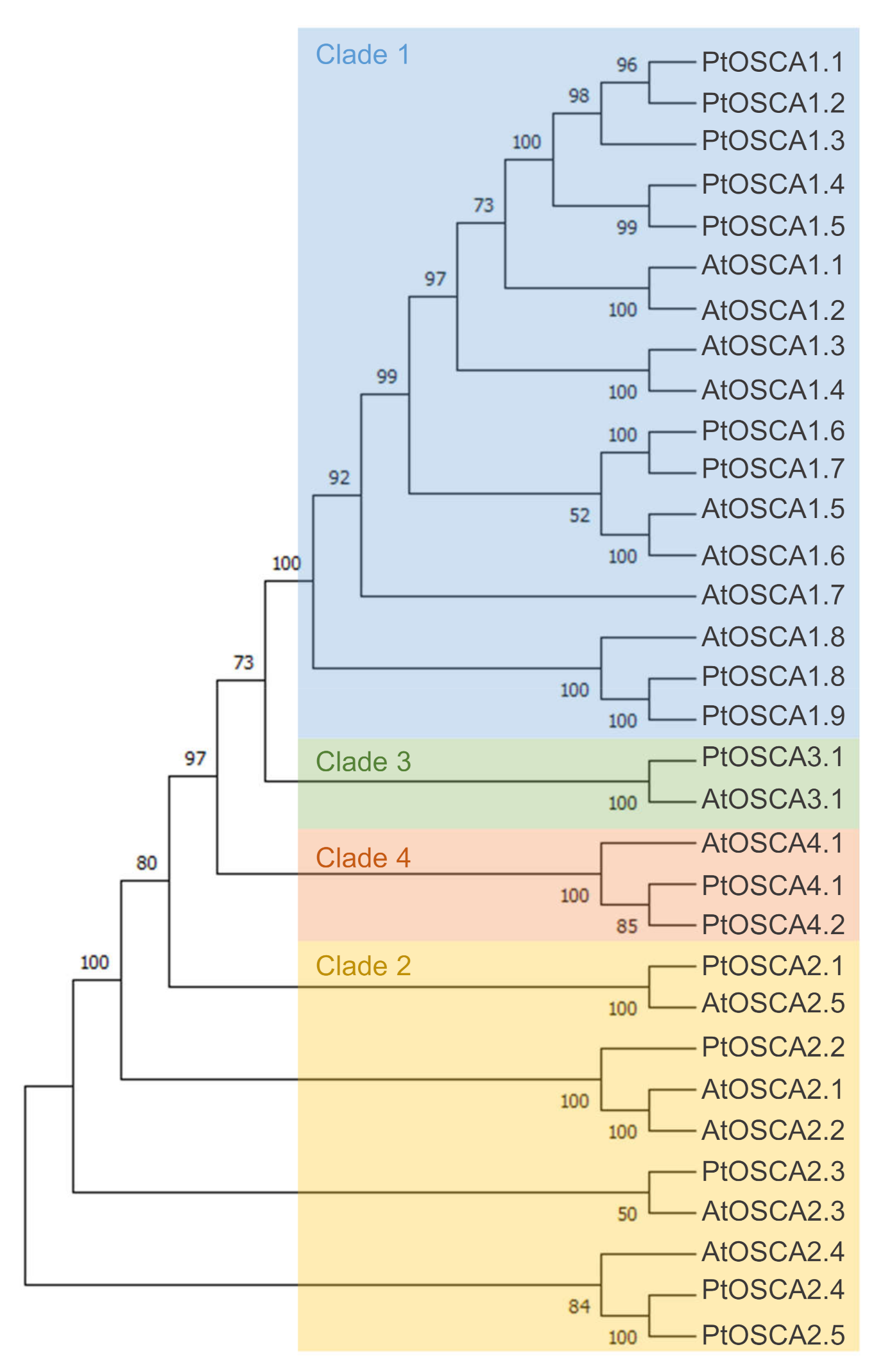 Ijms 22 11043 g003 Ijms 22 11043 g003
