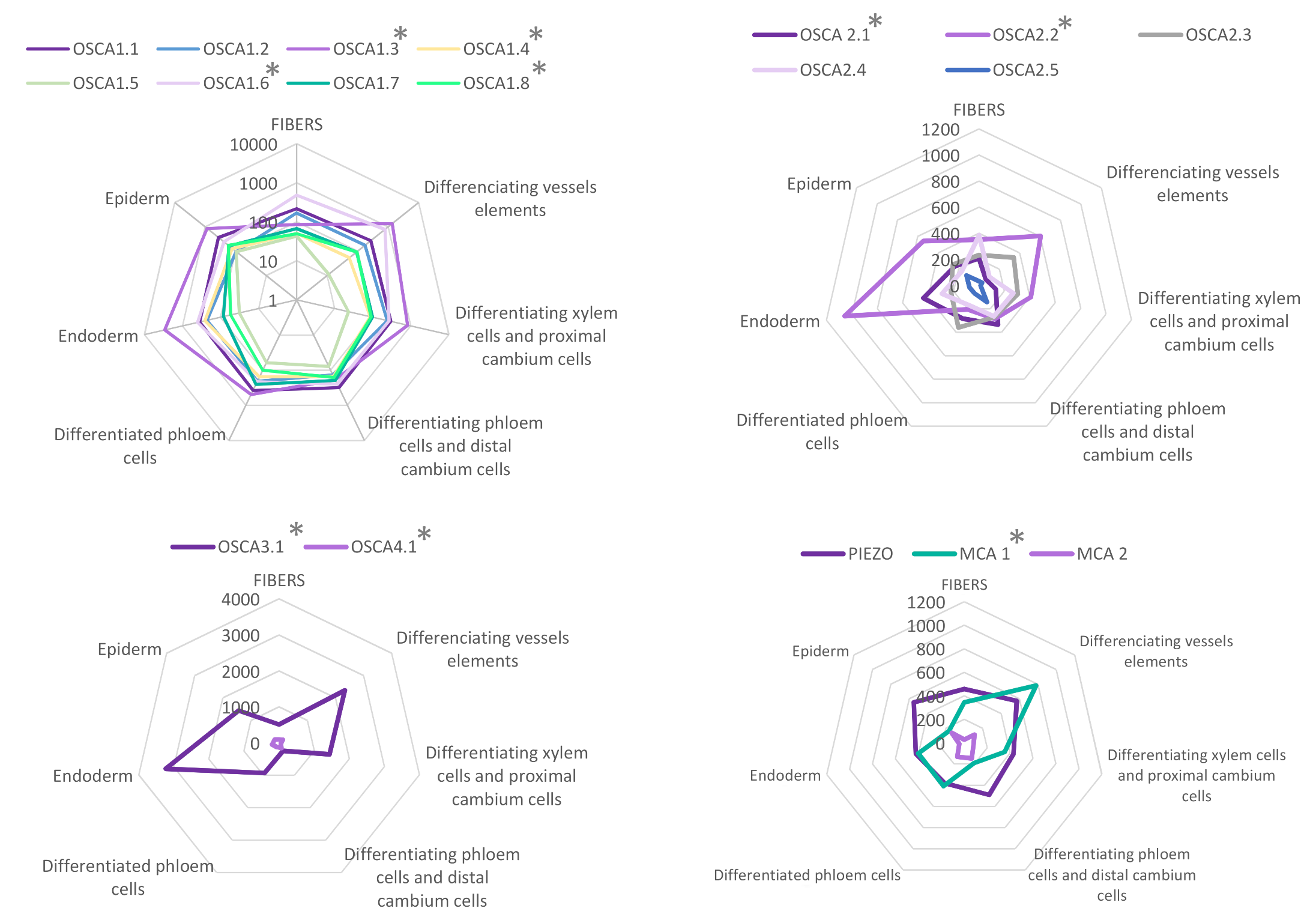 Ijms 22 11043 g005 Ijms 22 11043 g005
