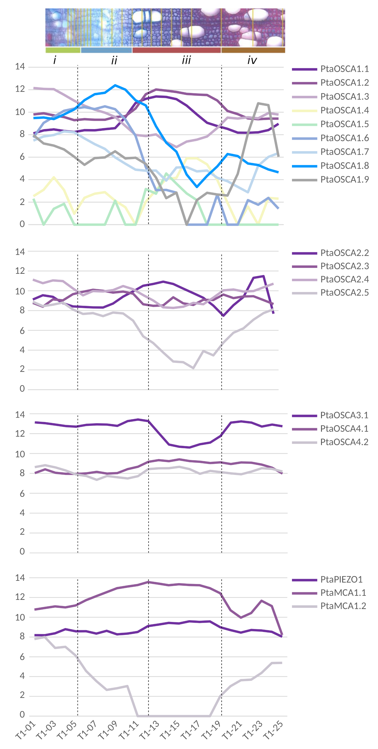 Ijms 22 11043 g006 Ijms 22 11043 g006