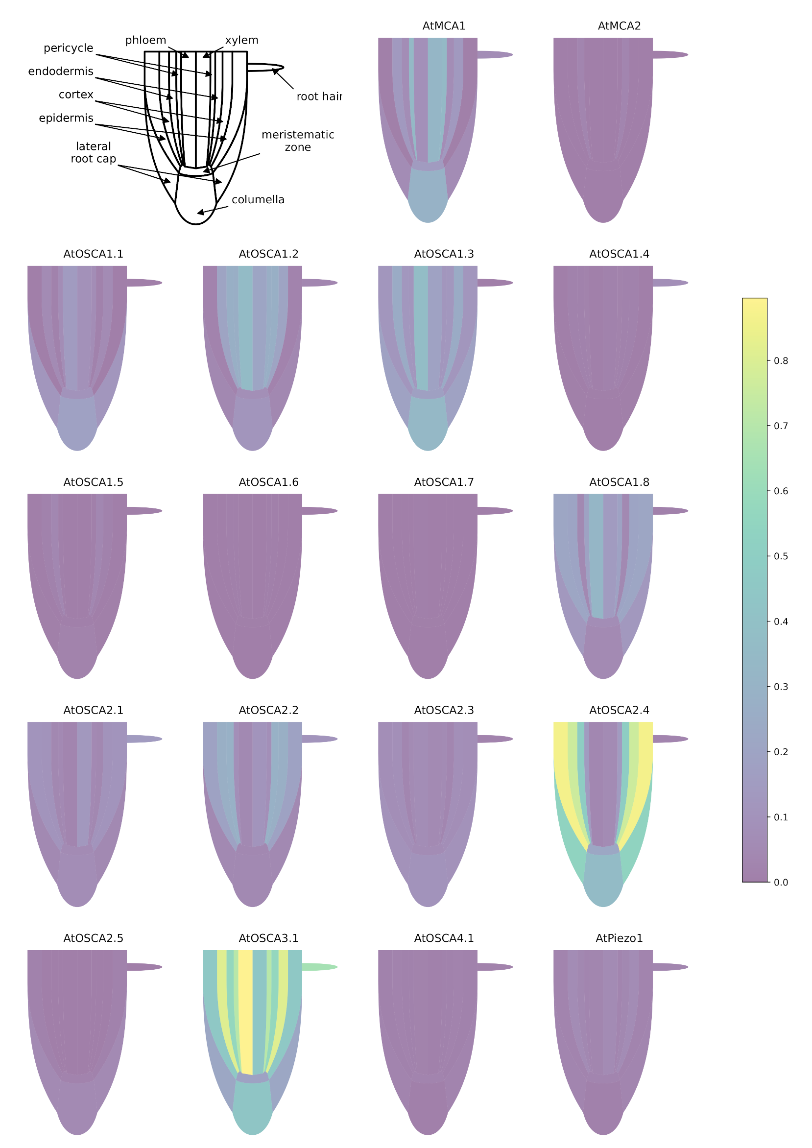 Ijms 22 11043 g0a1 Ijms 22 11043 g0a1