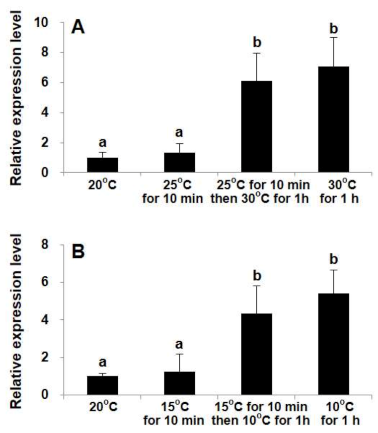 Ijms 22 11054 g002 550