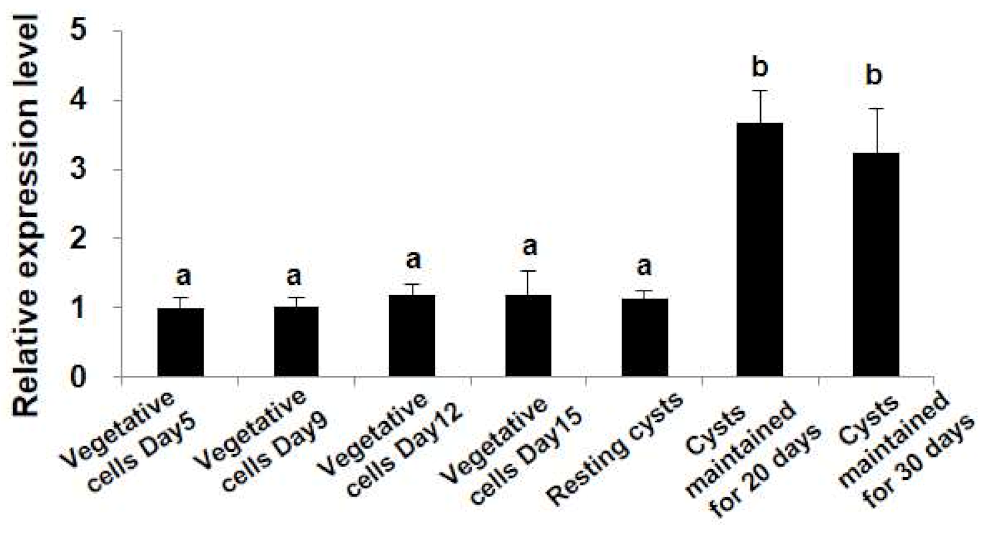 Ijms 22 11054 g003 550