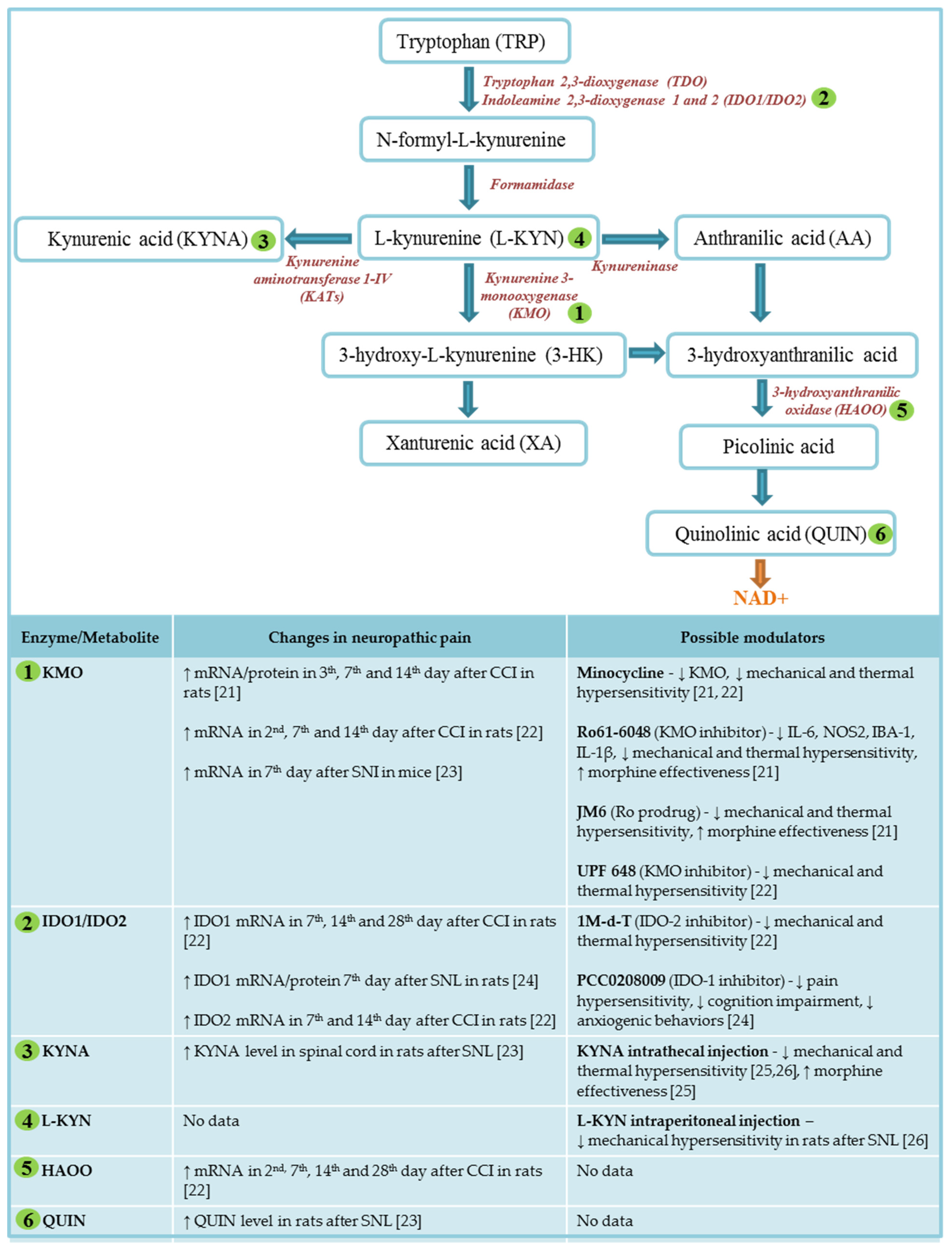 Ijms 22 11055 sch001 550