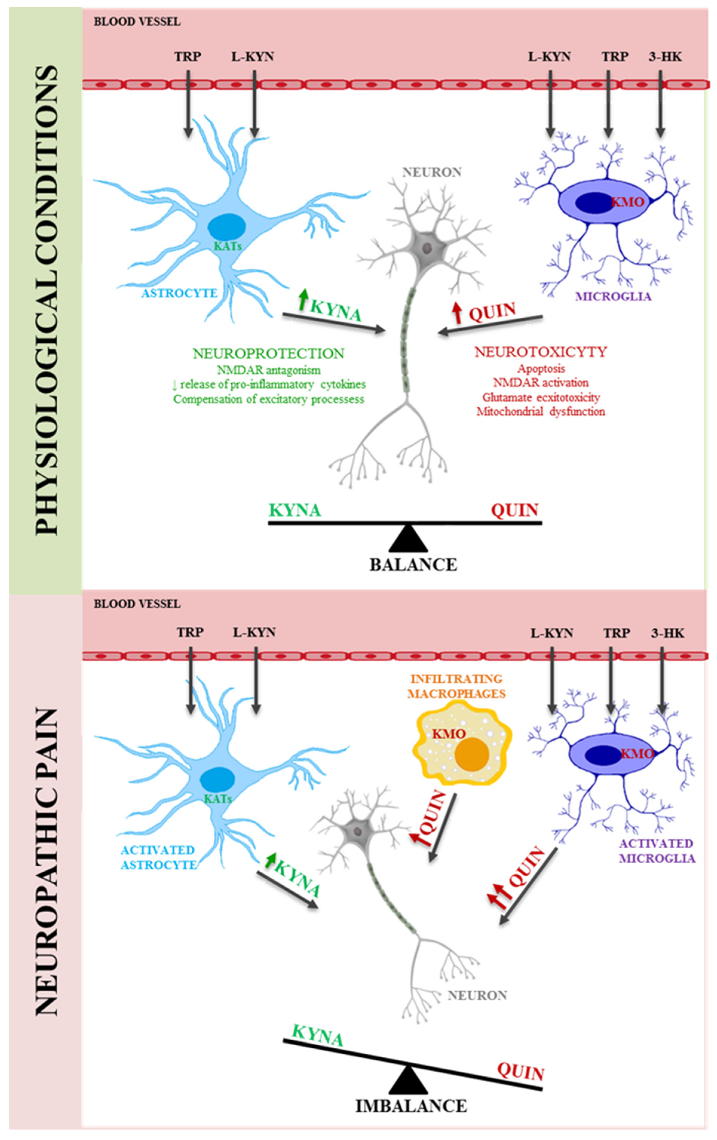 Ijms 22 11055 sch002 550