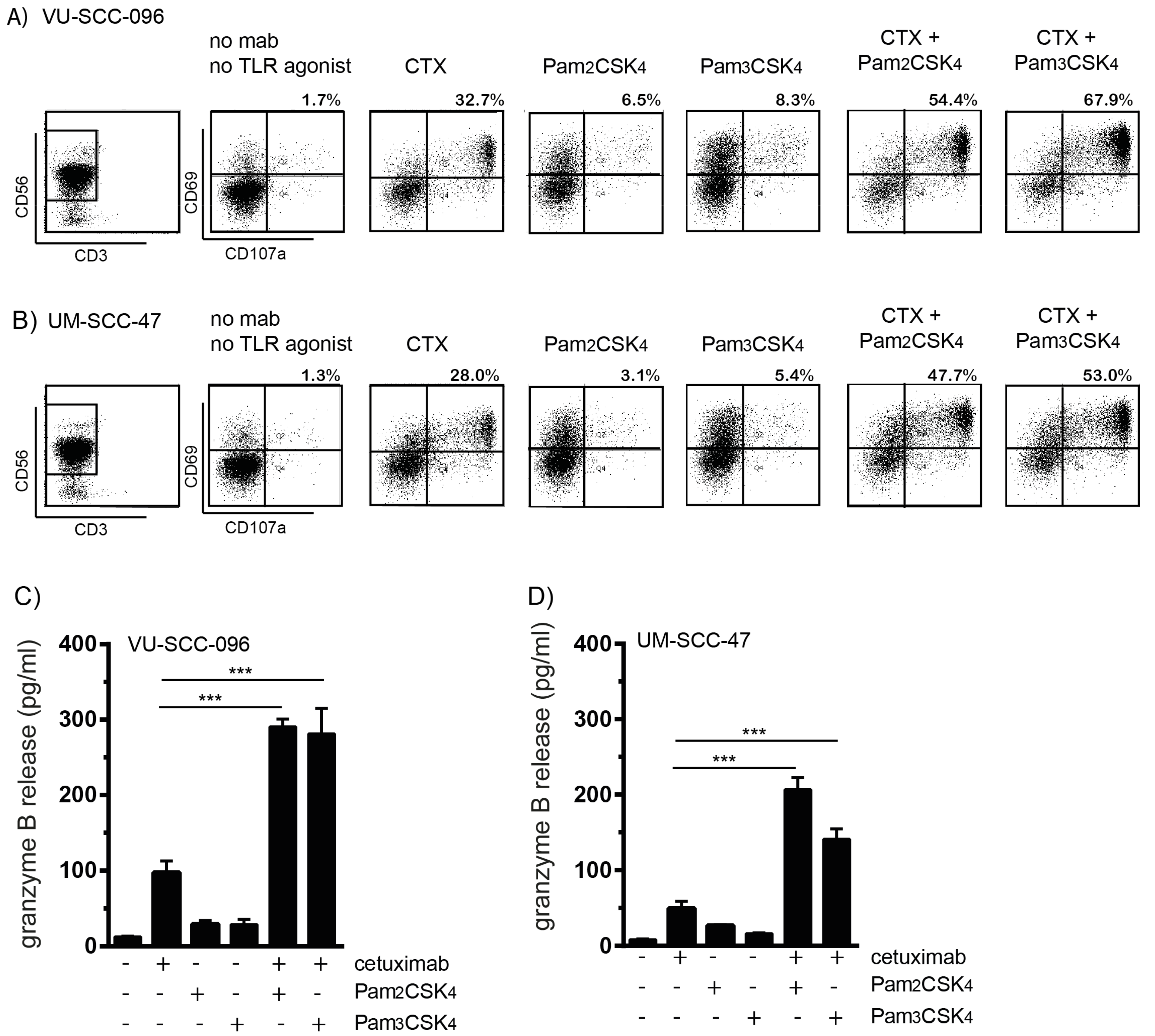 Ijms 22 11057 g003 Ijms 22 11057 g003