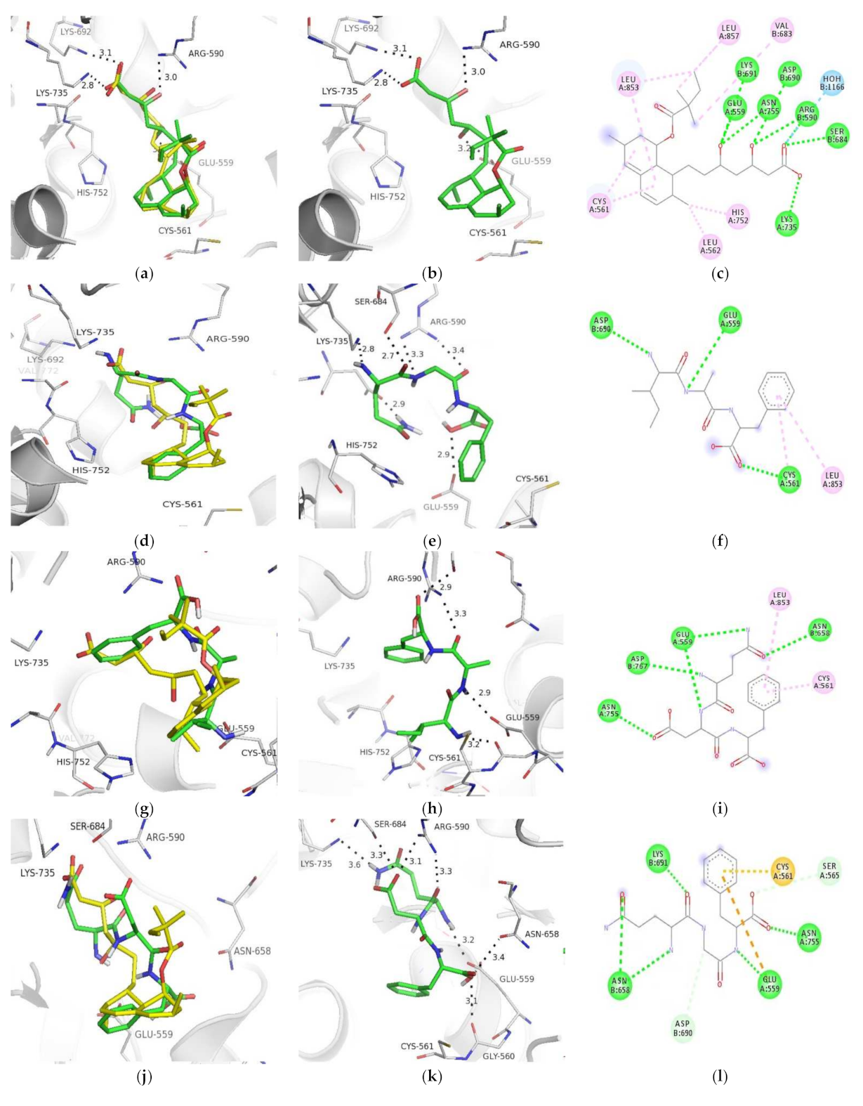 Ijms 22 11067 g001a 550