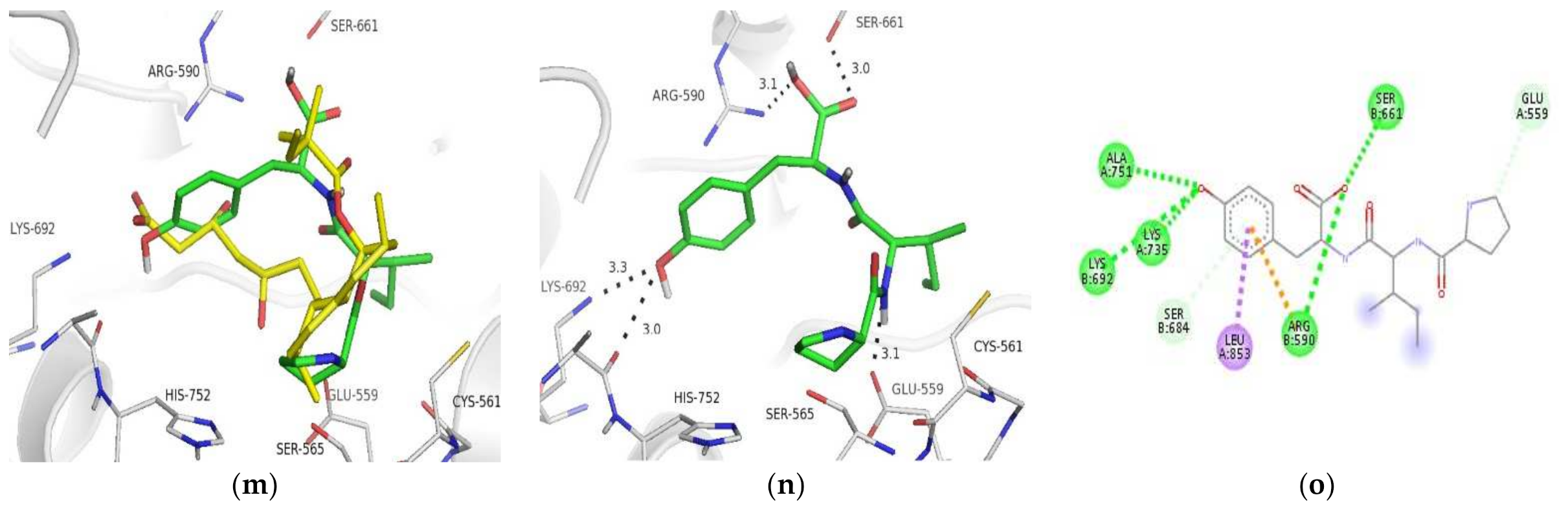 Ijms 22 11067 g001b 550