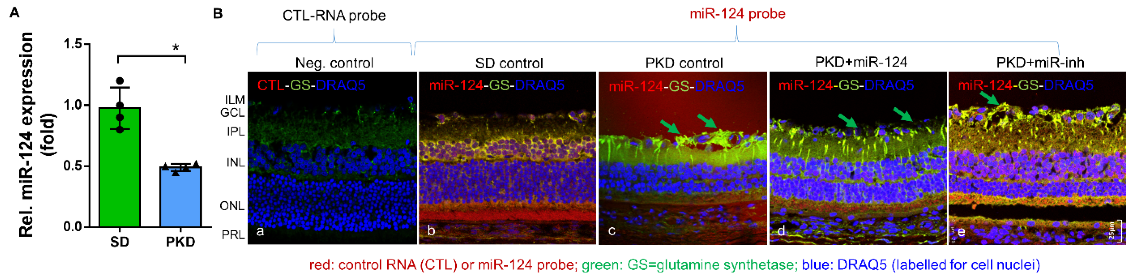 Ijms 22 11068 g001 550
