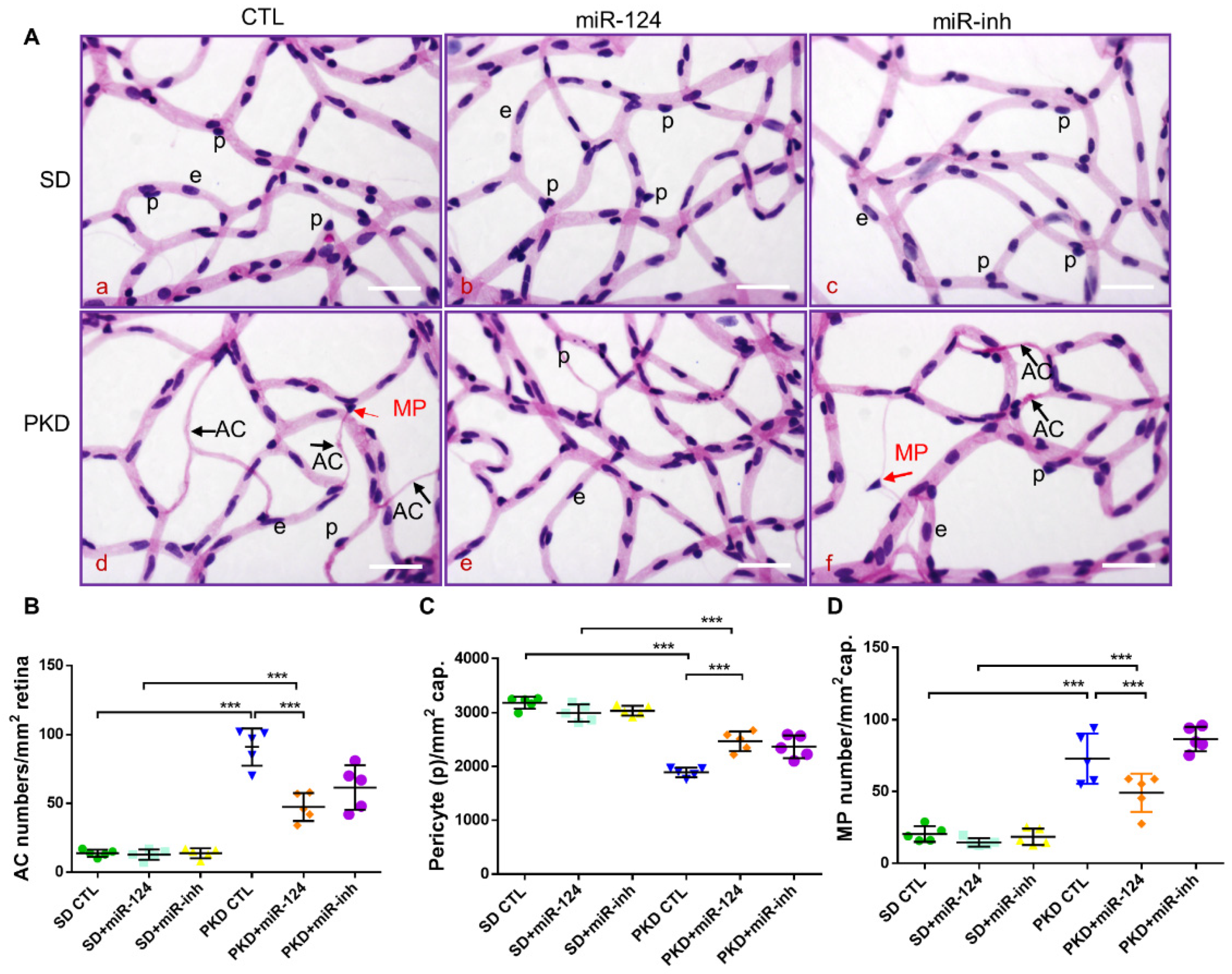 Ijms 22 11068 g003 550