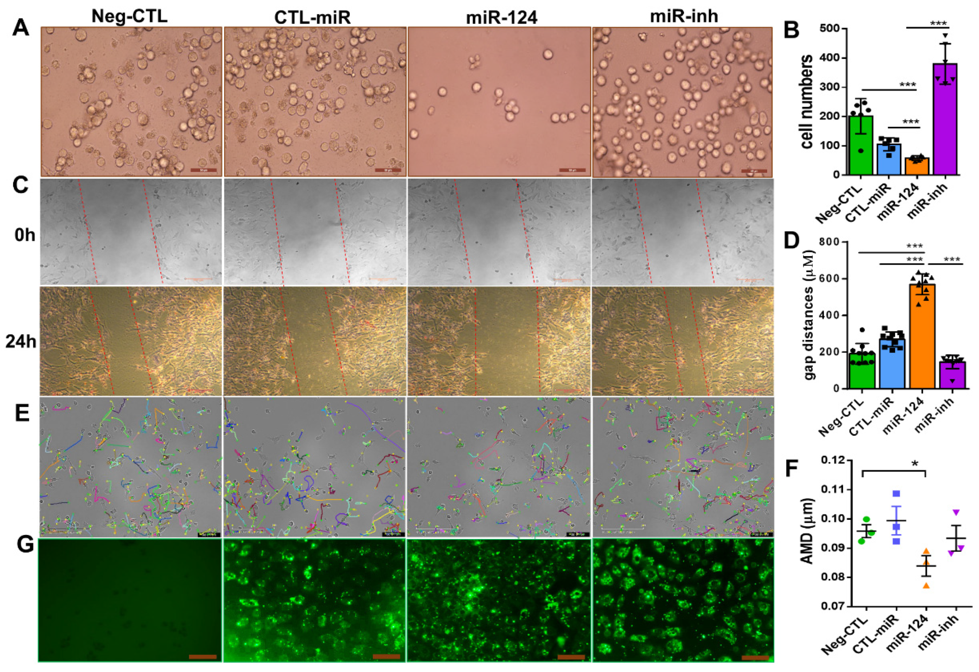 Ijms 22 11068 g005 550