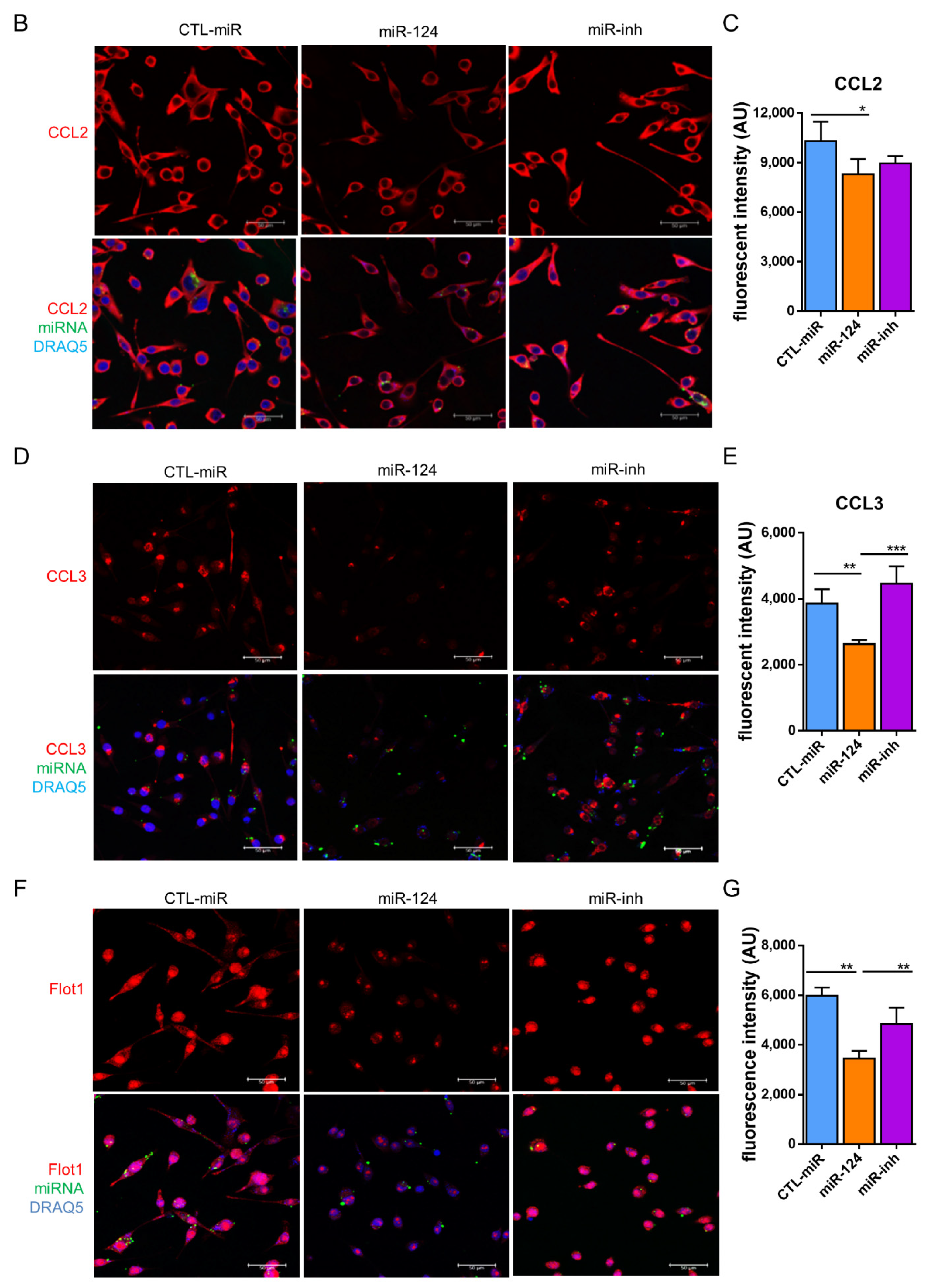 Ijms 22 11068 g006b 550