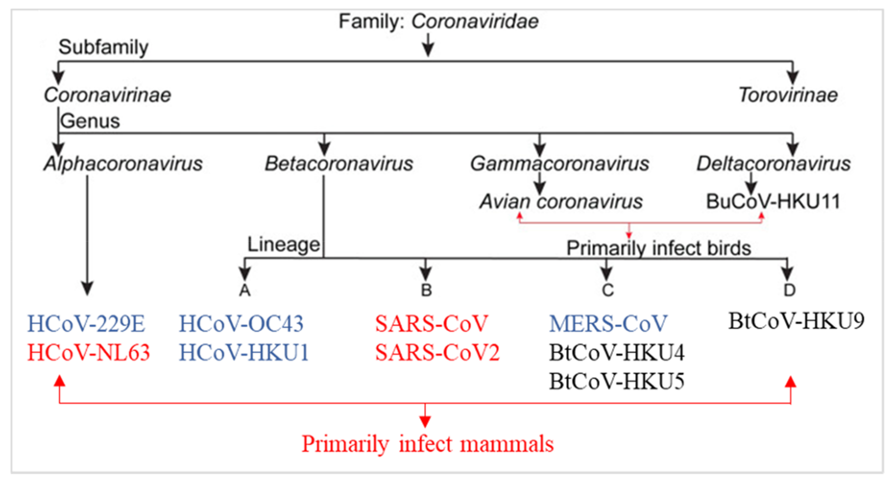Ijms 22 11069 g001 550