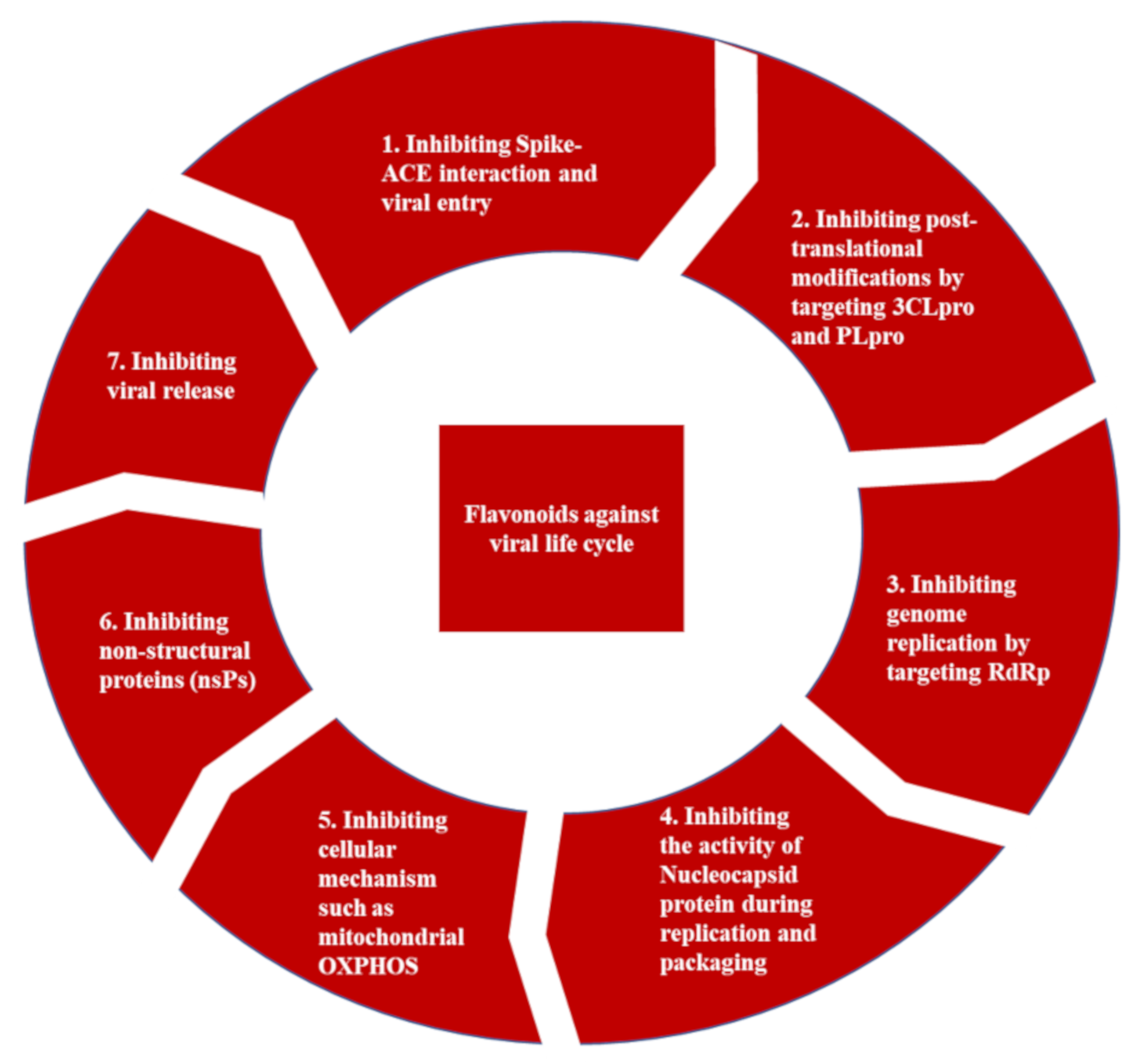 Ijms 22 11069 g006 550