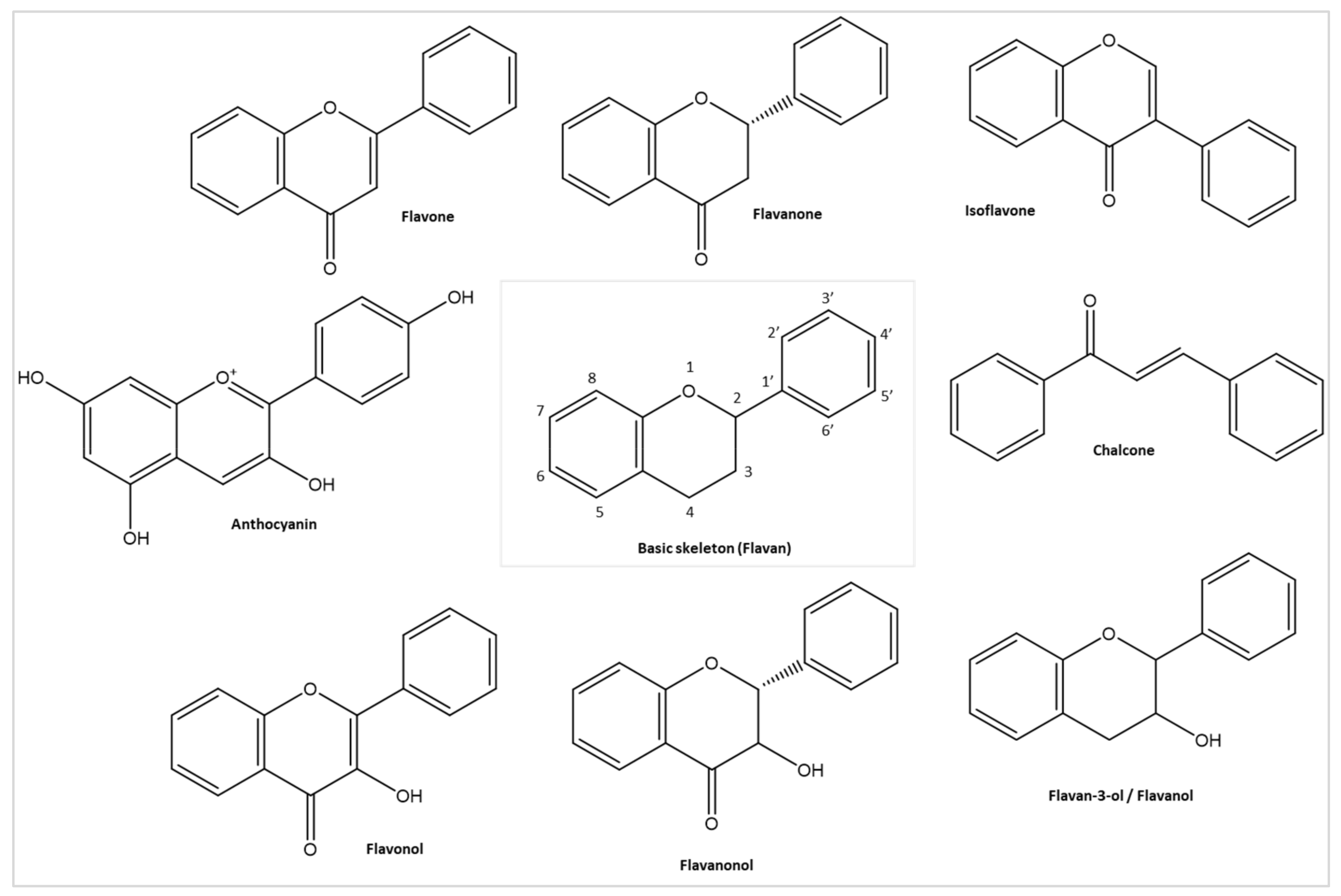 Ijms 22 11069 g007 550
