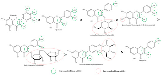 Promising Antiviral Activities of Natural Flavonoids against SARS-CoV-2 ...