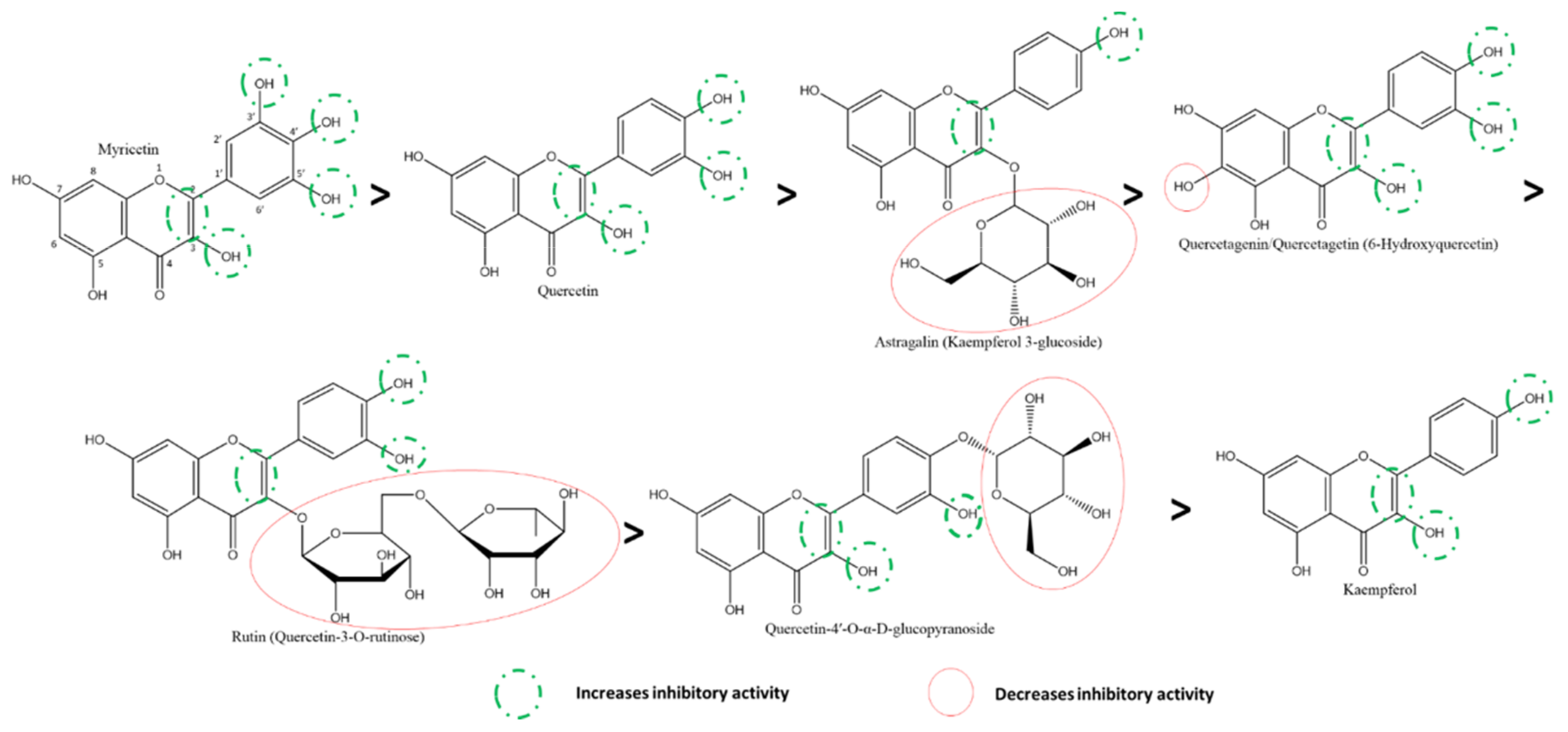 Ijms 22 11069 g009 550