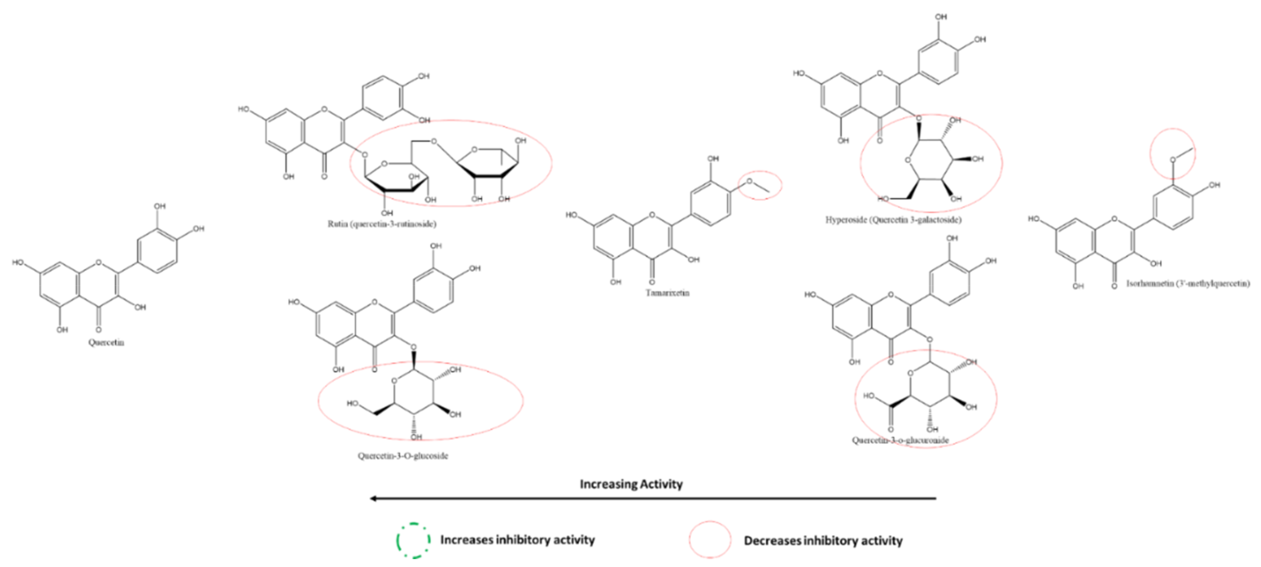 Ijms 22 11069 g018 550