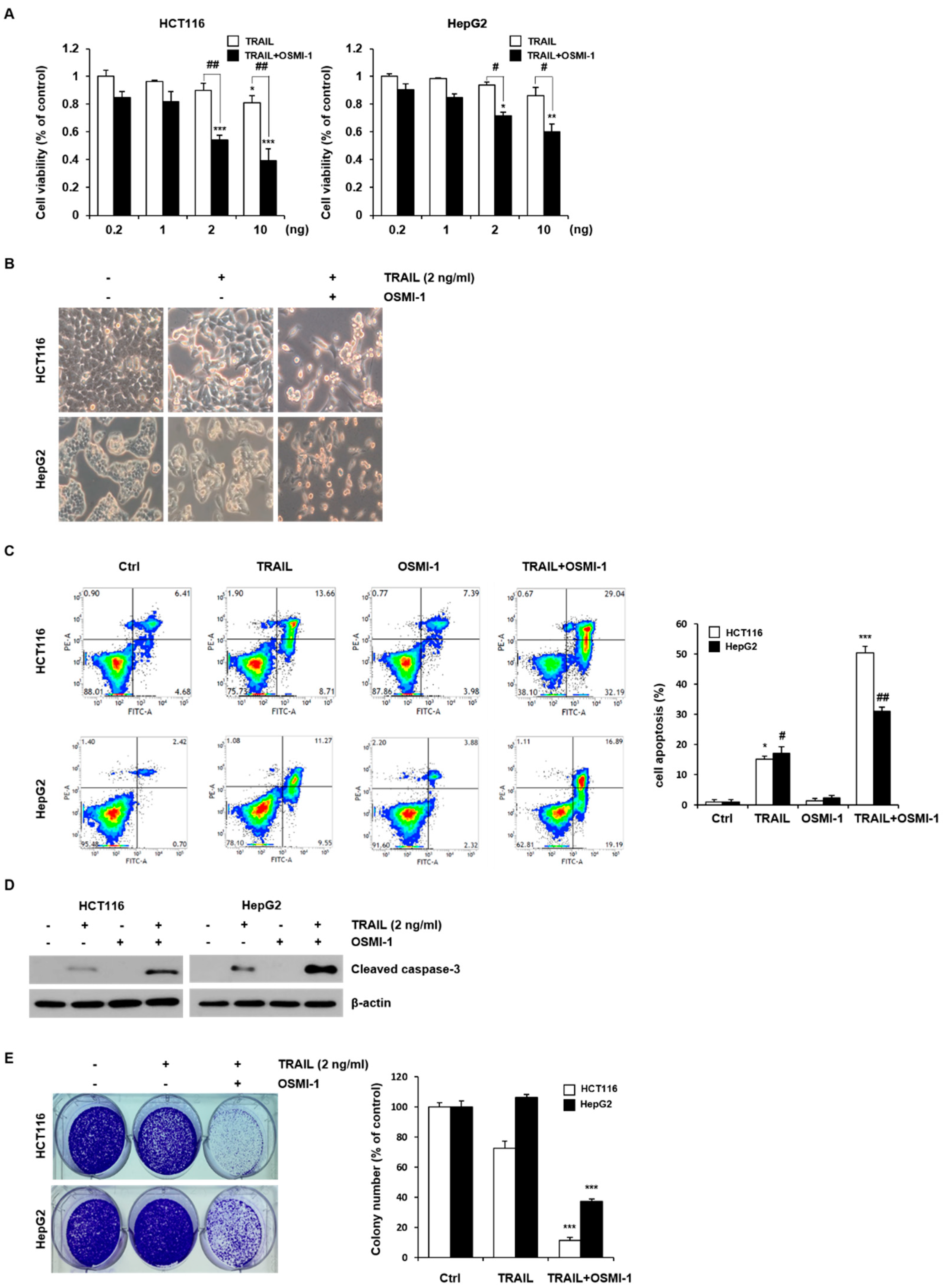 Ijms 22 11073 g001 550