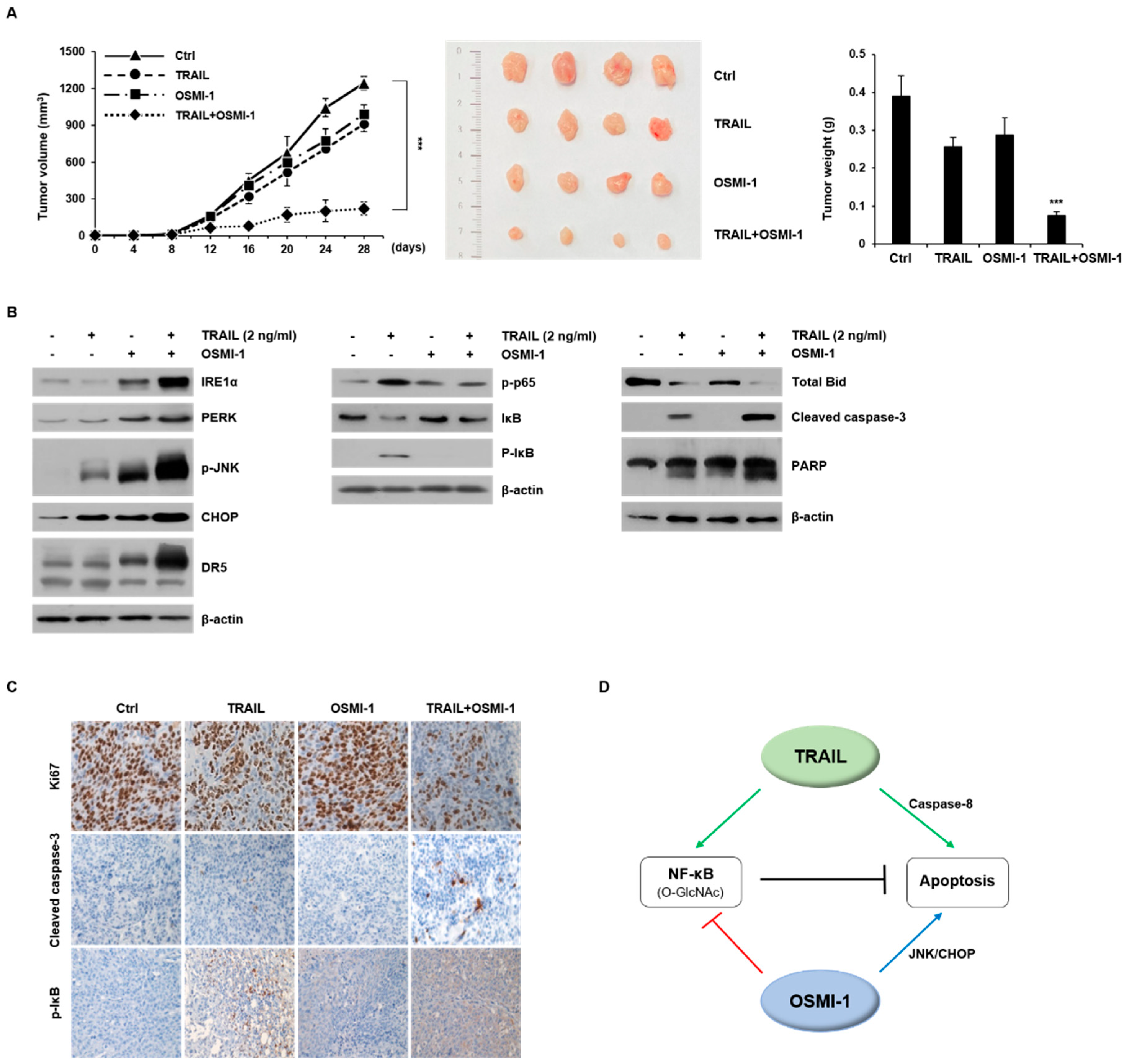 Ijms 22 11073 g006 550
