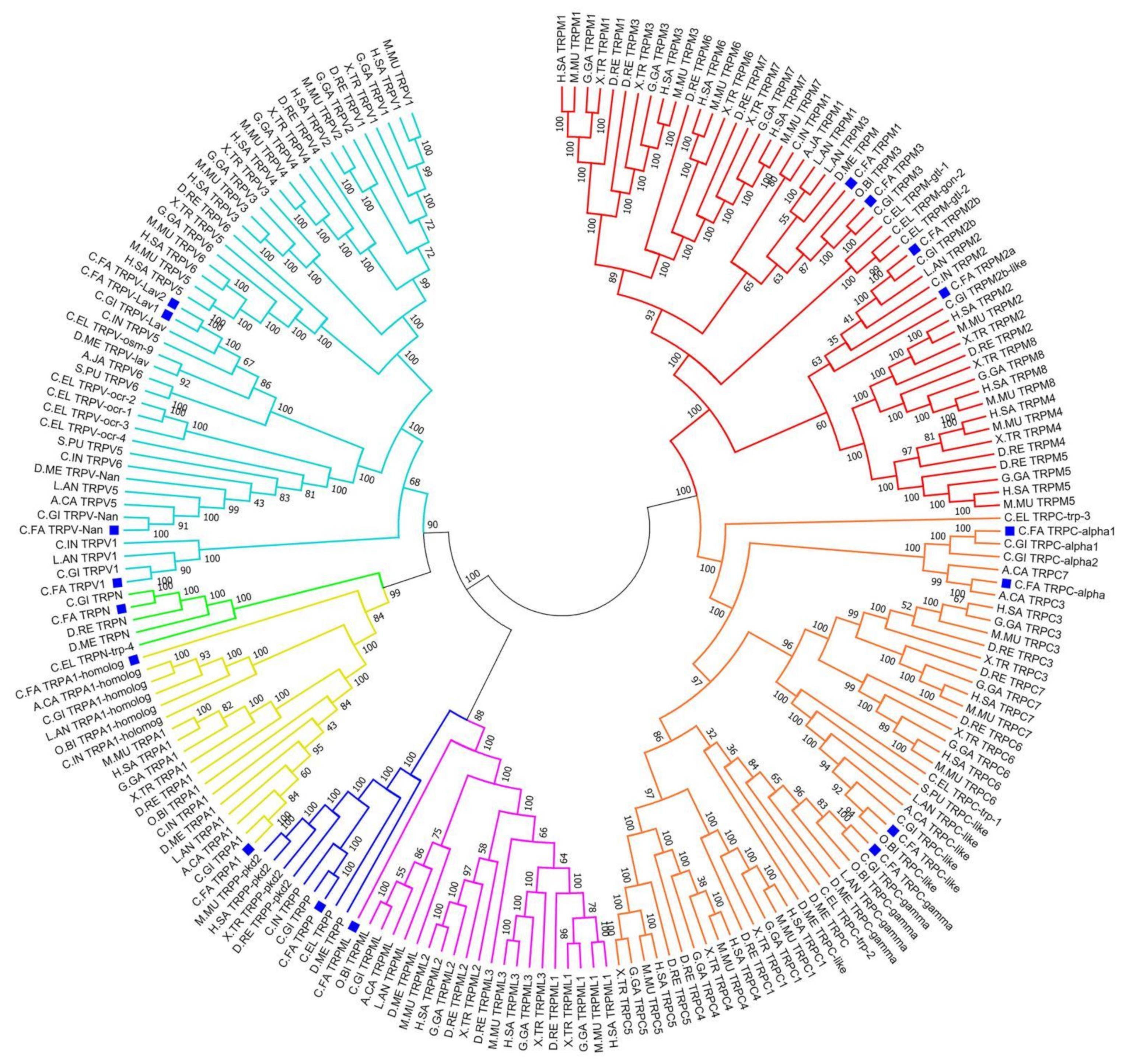 Ijms 22 11075 g003 Ijms 22 11075 g003