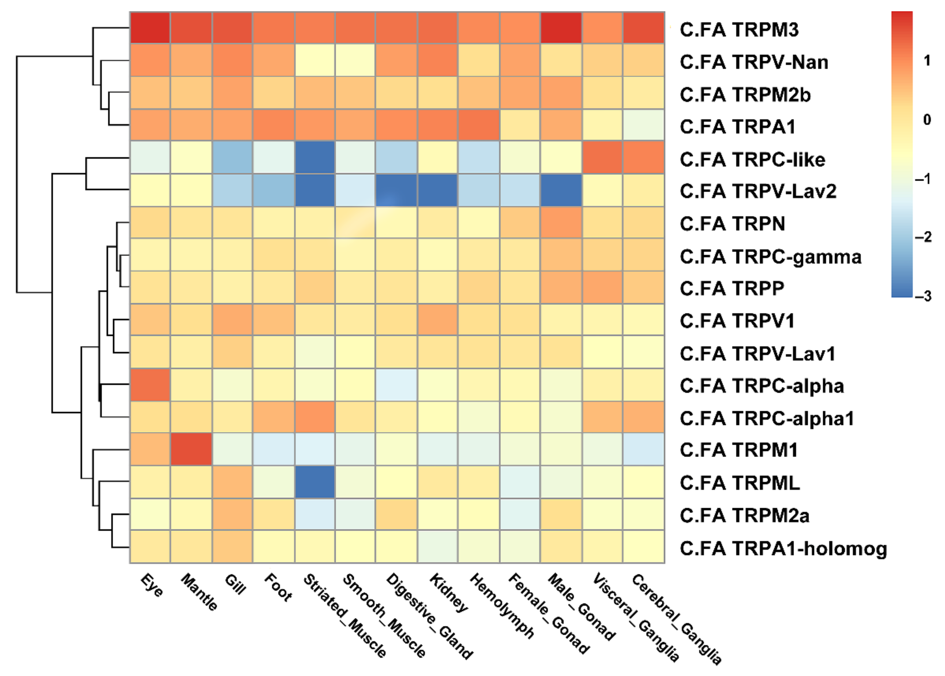 Ijms 22 11075 g005 Ijms 22 11075 g005