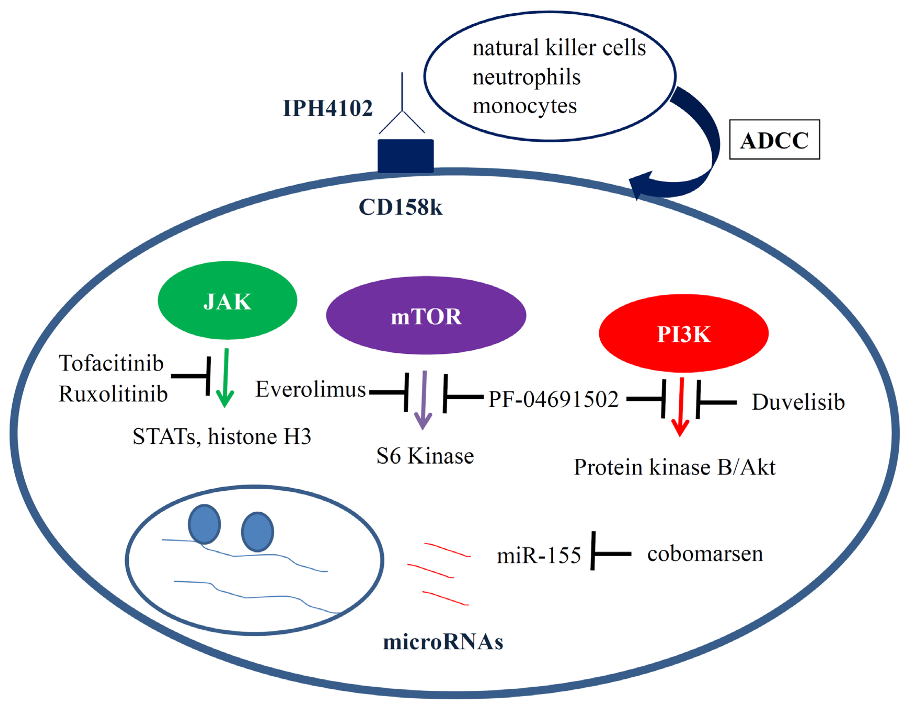 Ijms 22 11079 g002 550