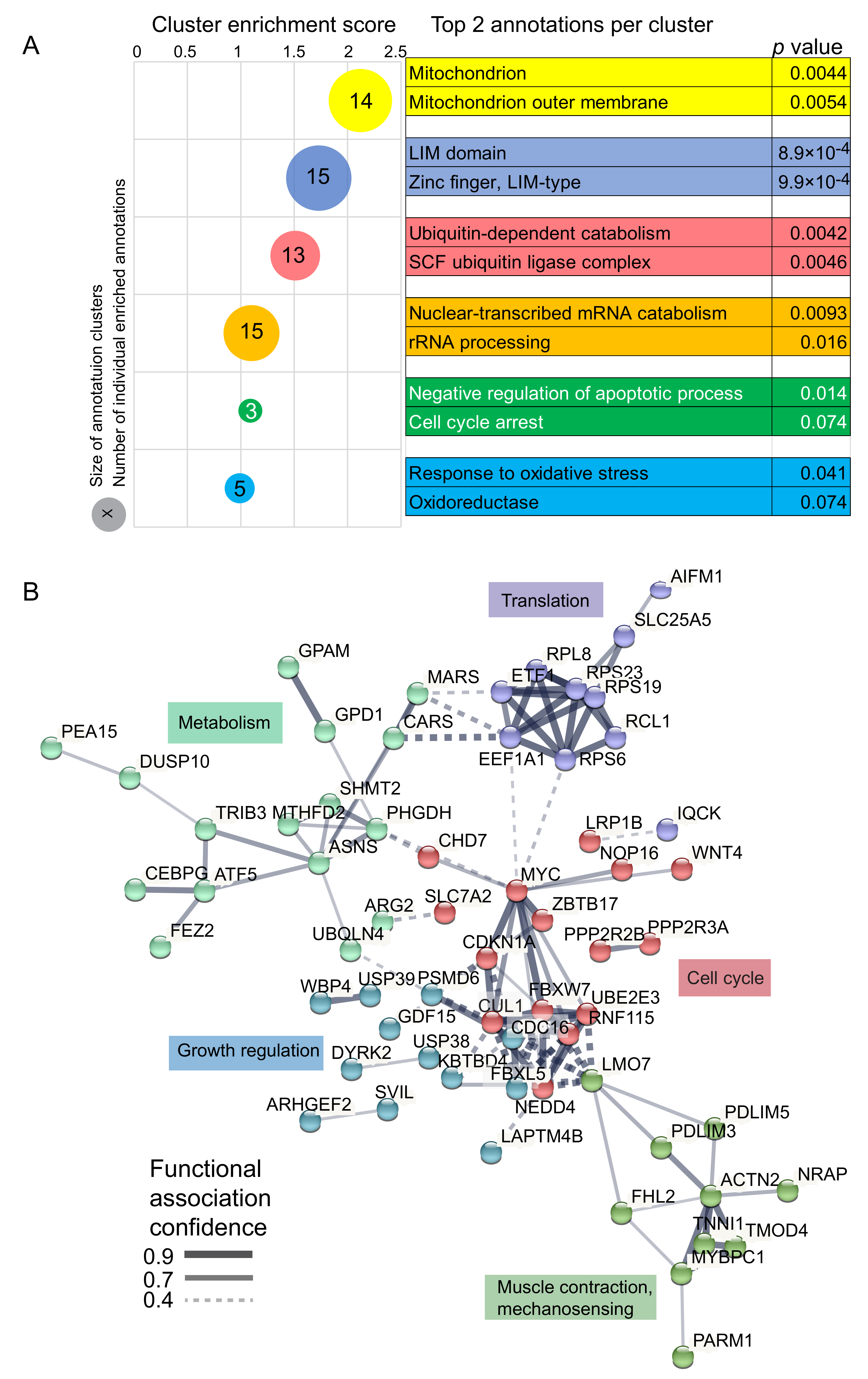 Ijms 22 11080 g003 550