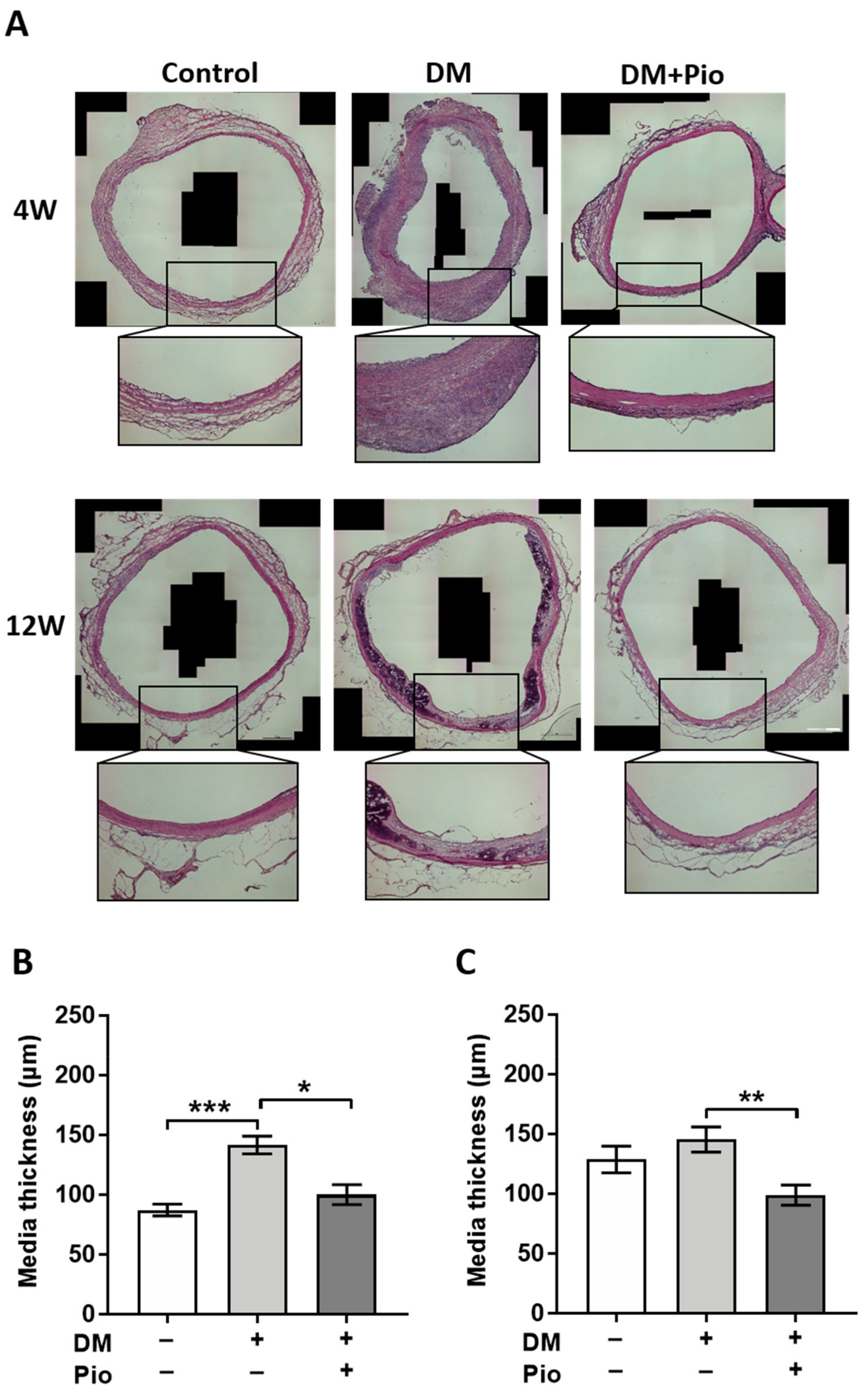 Ijms 22 11081 g003 550