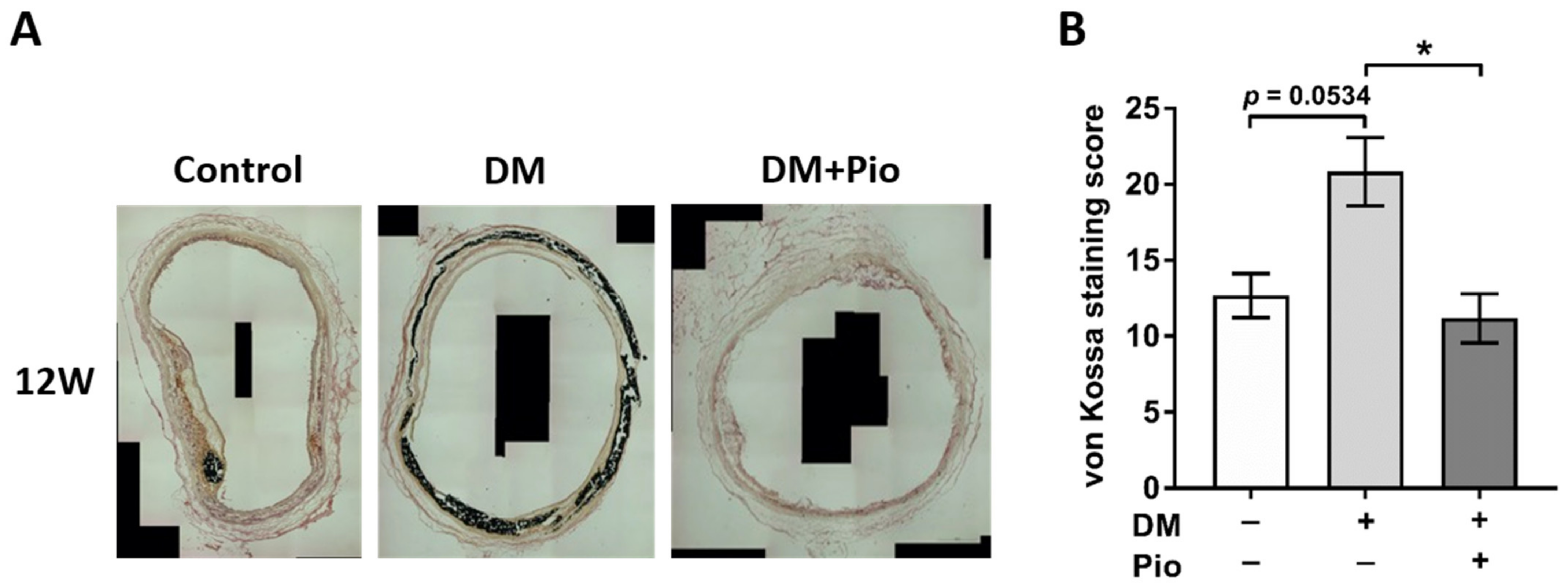 Ijms 22 11081 g004 550