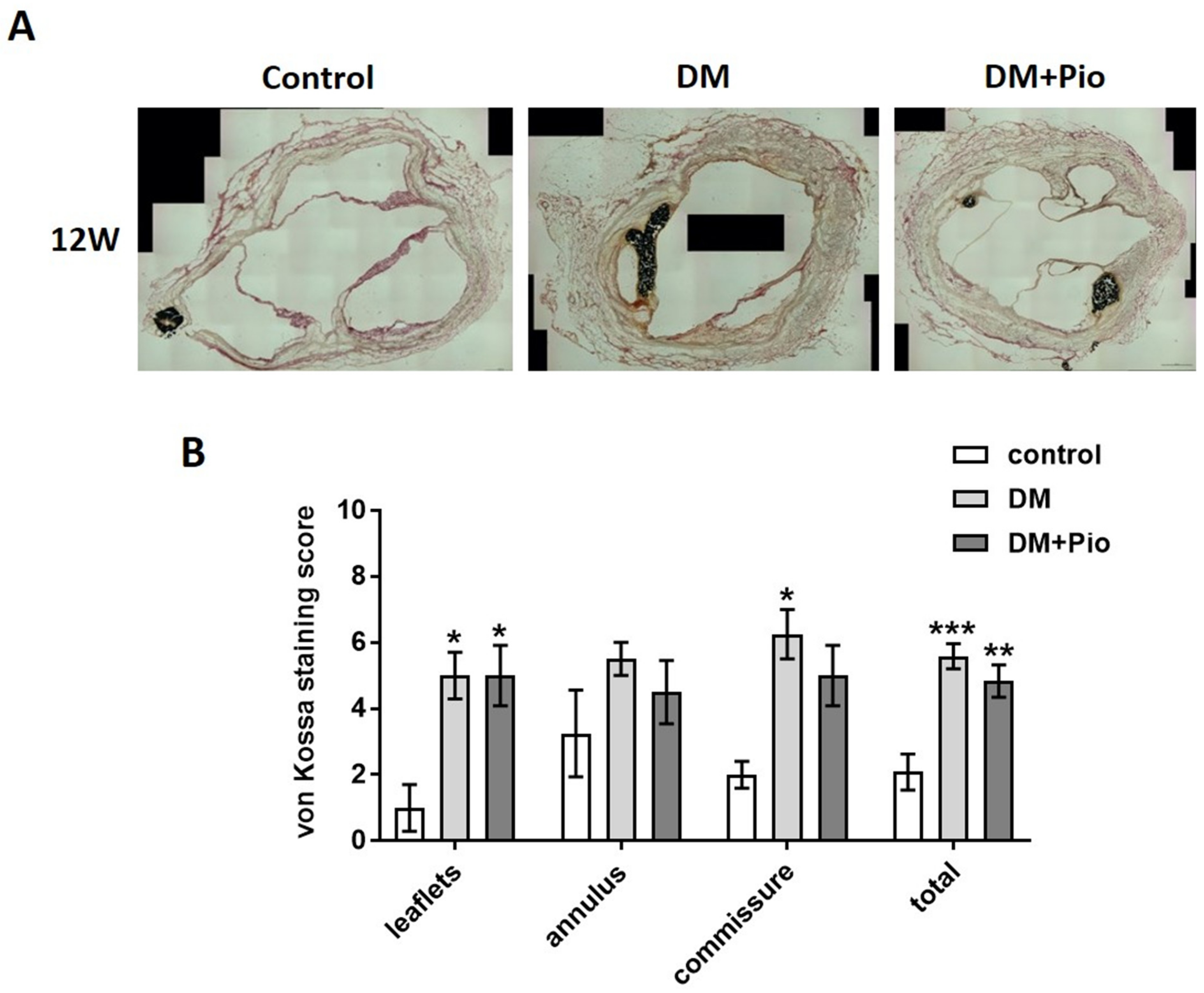Ijms 22 11081 g005 550