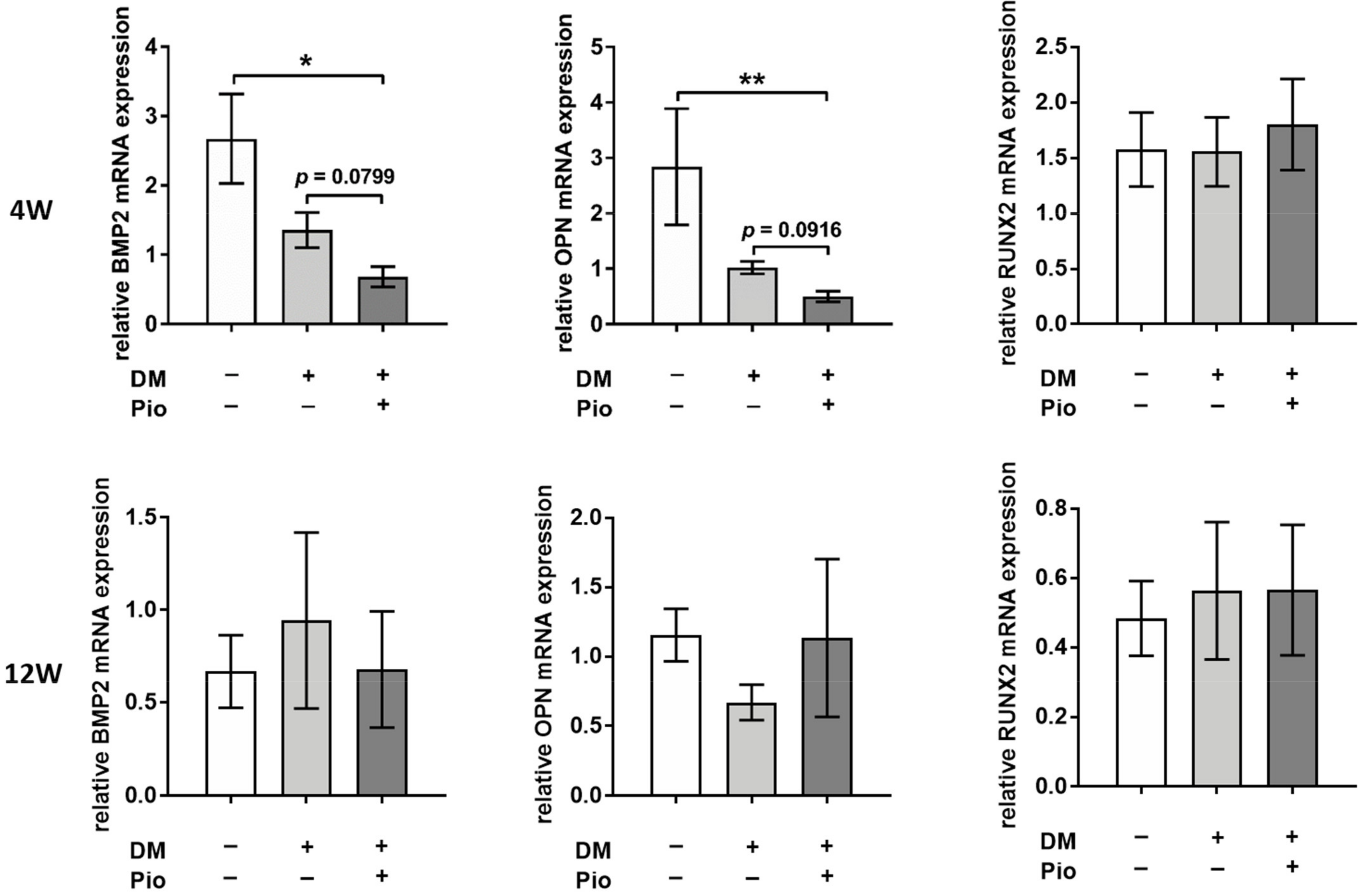 Ijms 22 11081 g006 550