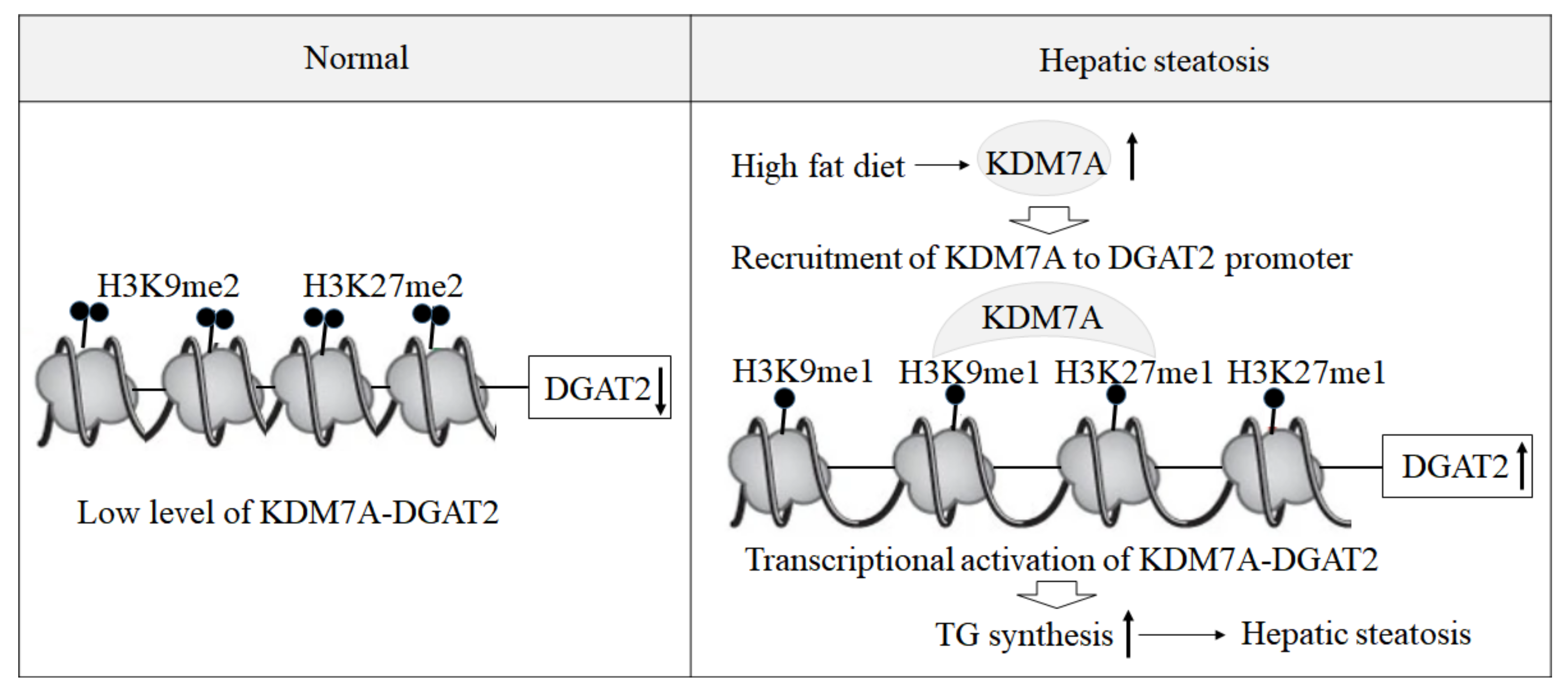 Ijms 22 11085 g006 550