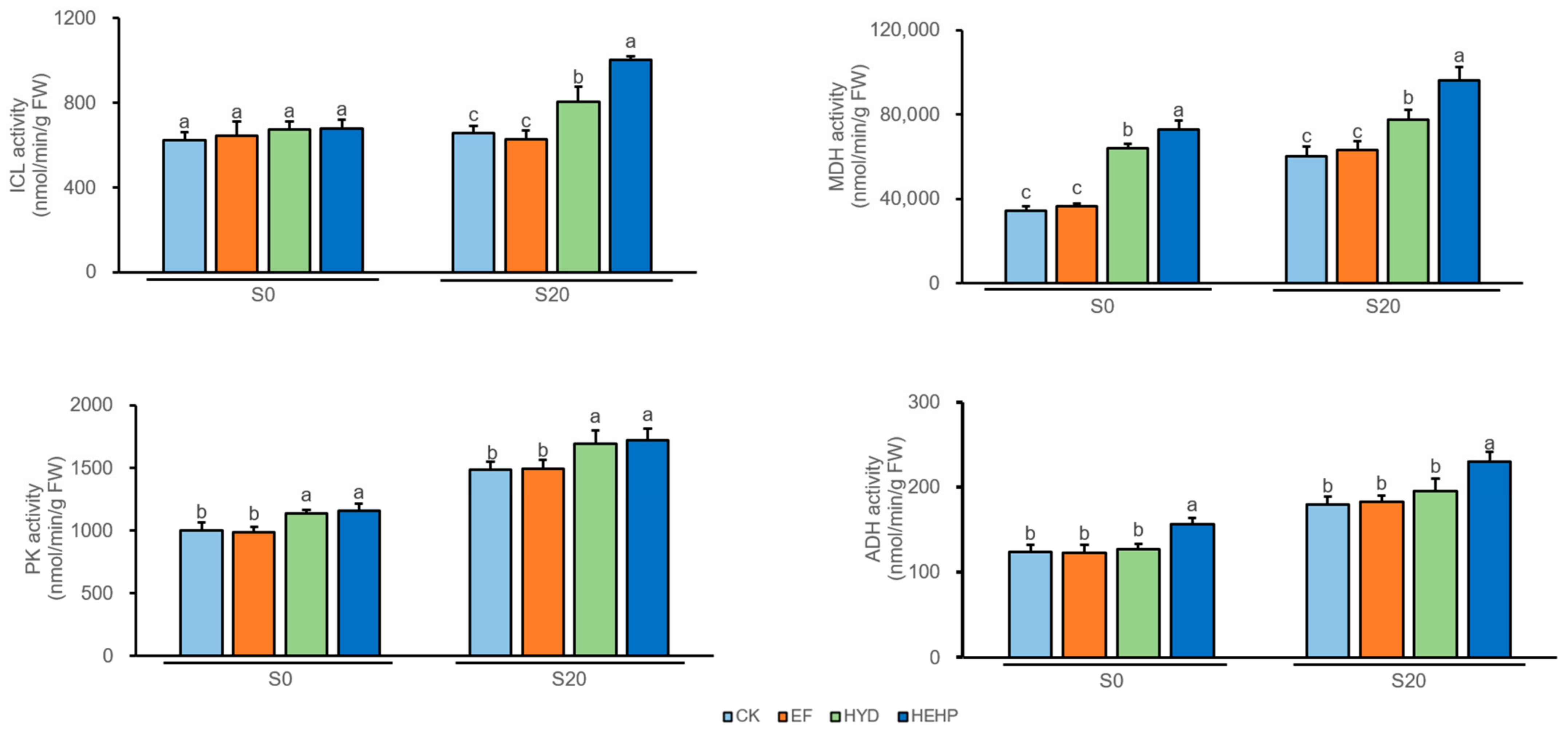 Ijms 22 11090 g004 550