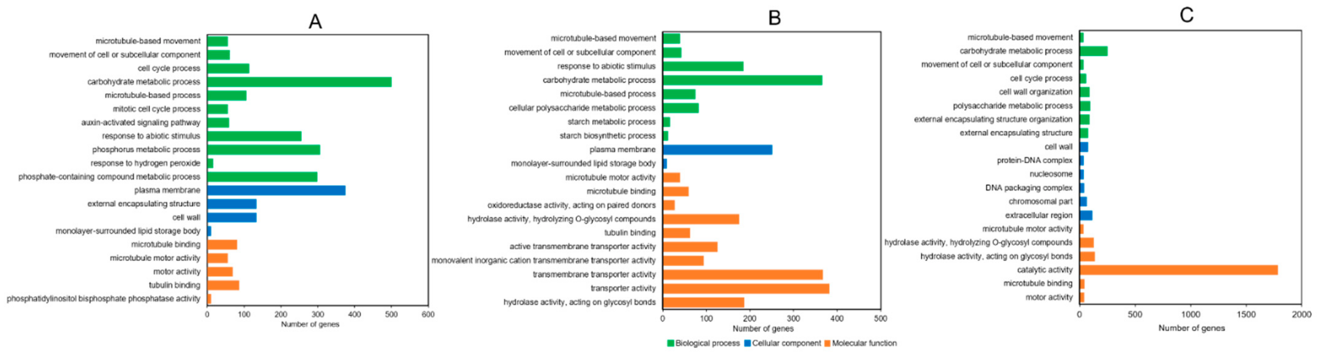 Ijms 22 11090 g006 550