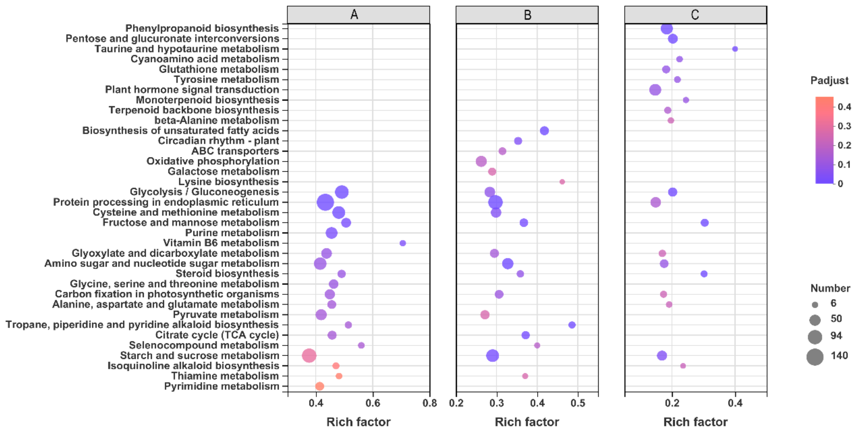 Ijms 22 11090 g007 550