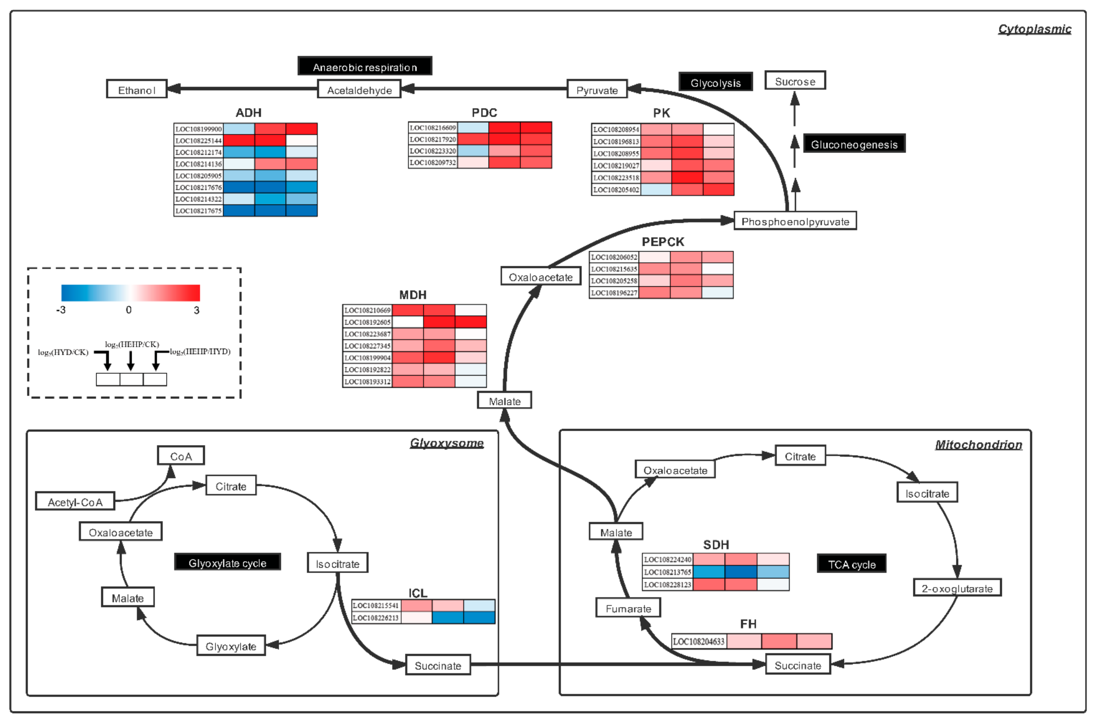 Ijms 22 11090 g008 550