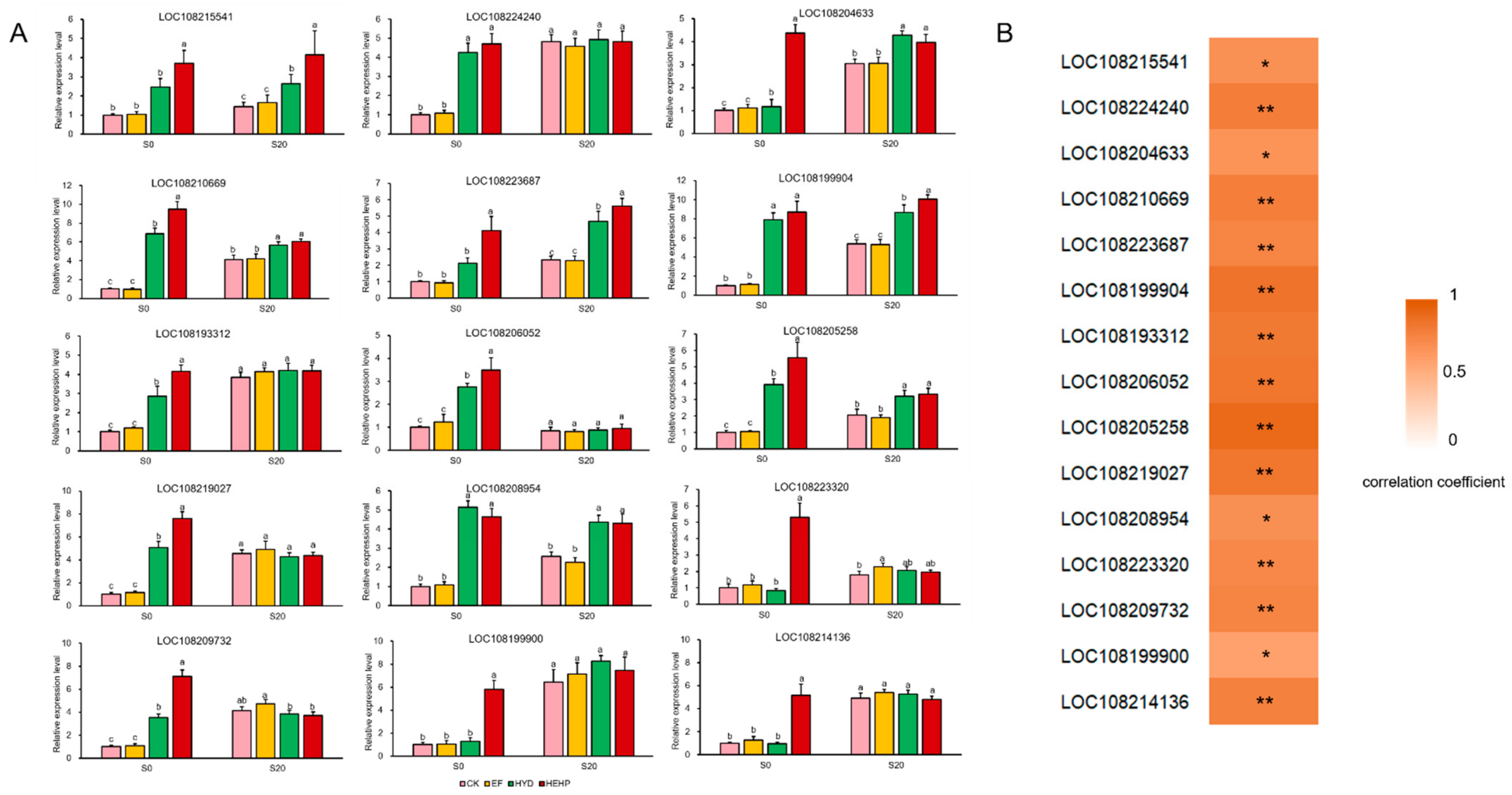 Ijms 22 11090 g009 550